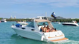Sea Ray 42ft Fourplay Yacht – Chicago Charter Perfect for Parties boat photo