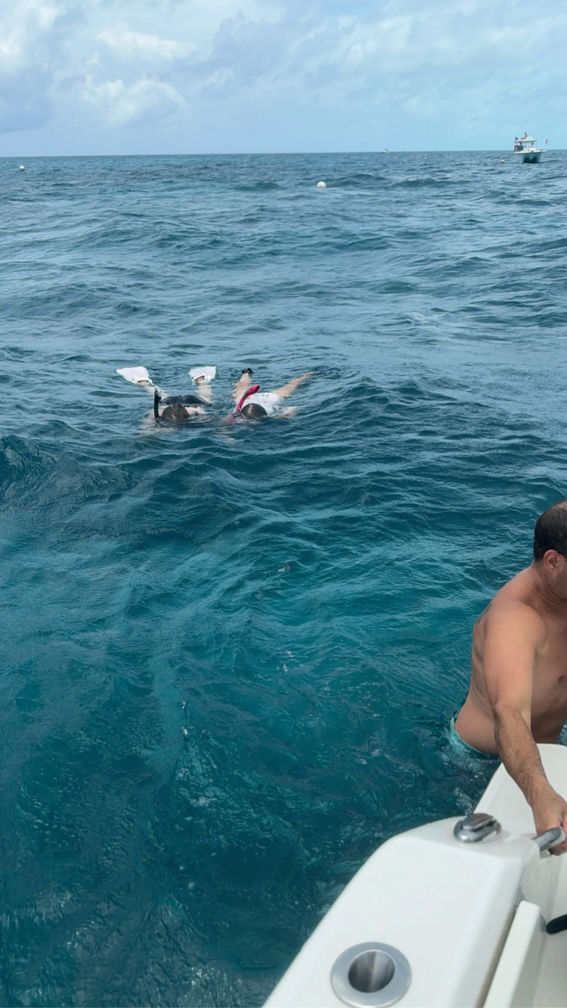 Beach tours, Eco Tours, Fishing Tours 30ft  twin 400s