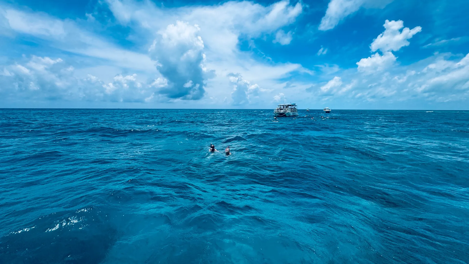 Beach tours, Eco Tours, Fishing Tours 30ft  twin 400s