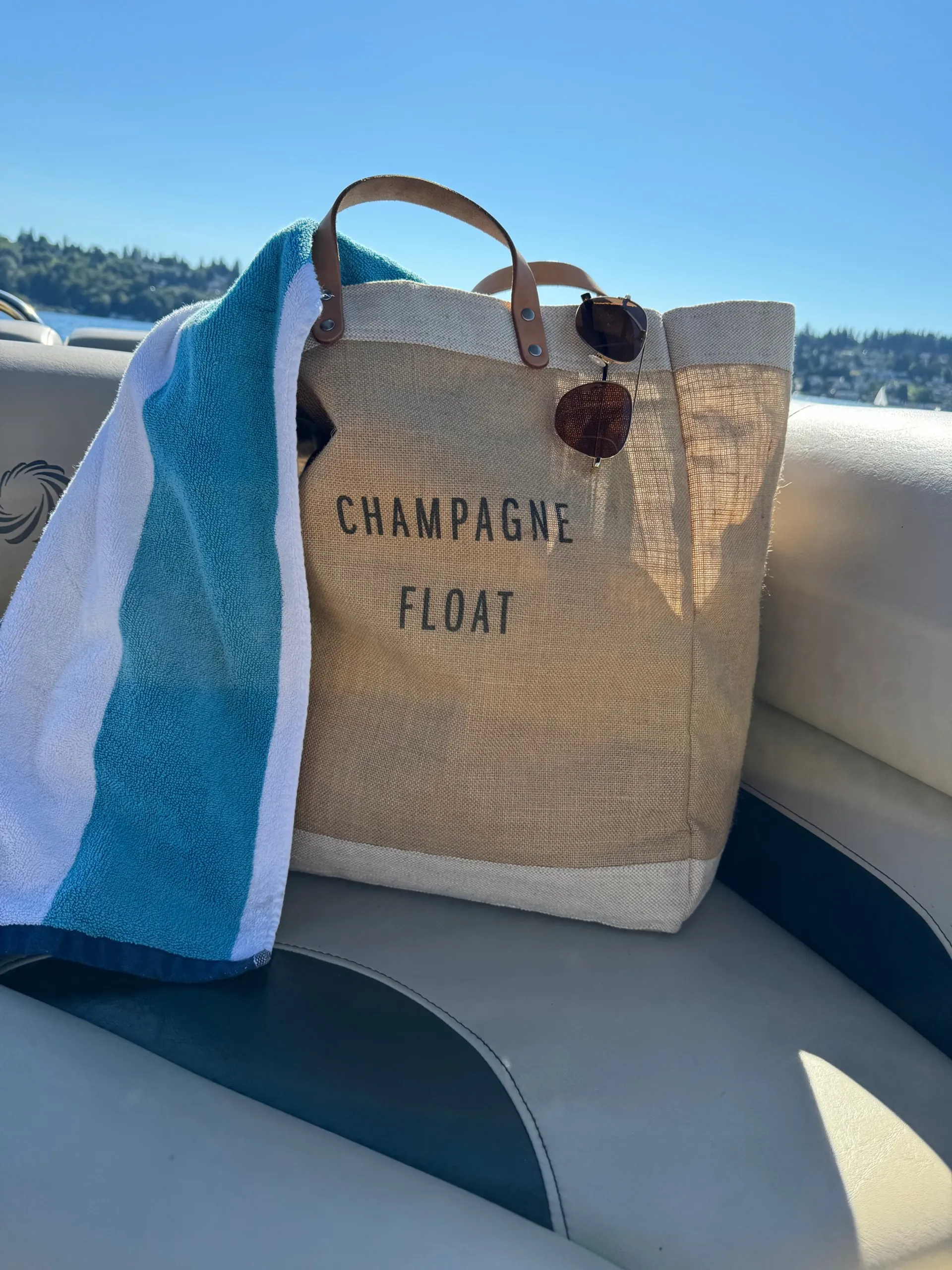 Lowe Pontoons SS190 Mercury in Kenmore, WA — photo 8