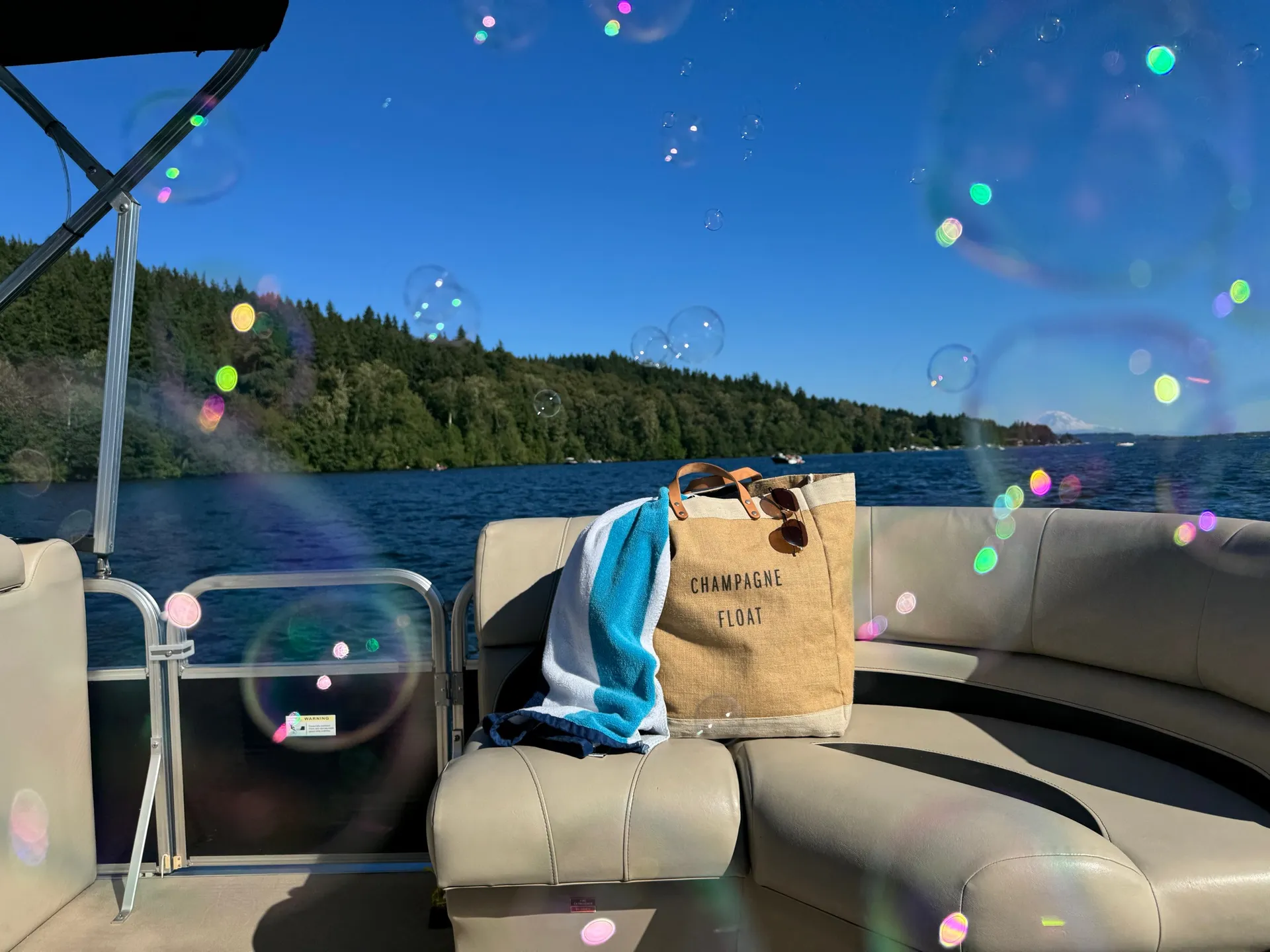 Lowe Pontoons SS190 Mercury in Kenmore, WA — photo 2