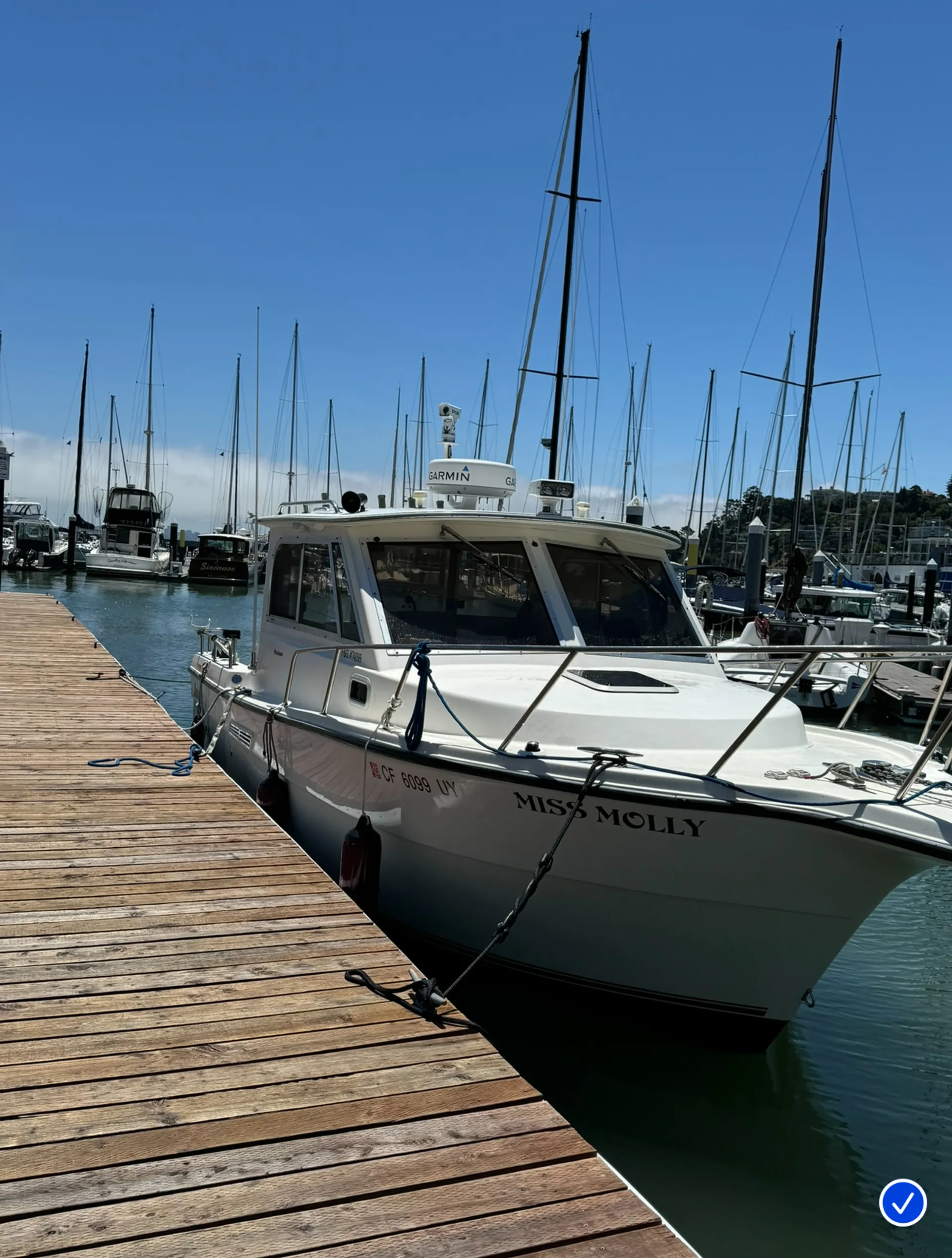 Charter Miss Molly - Swim, Tour, Fish, &amp; more!
