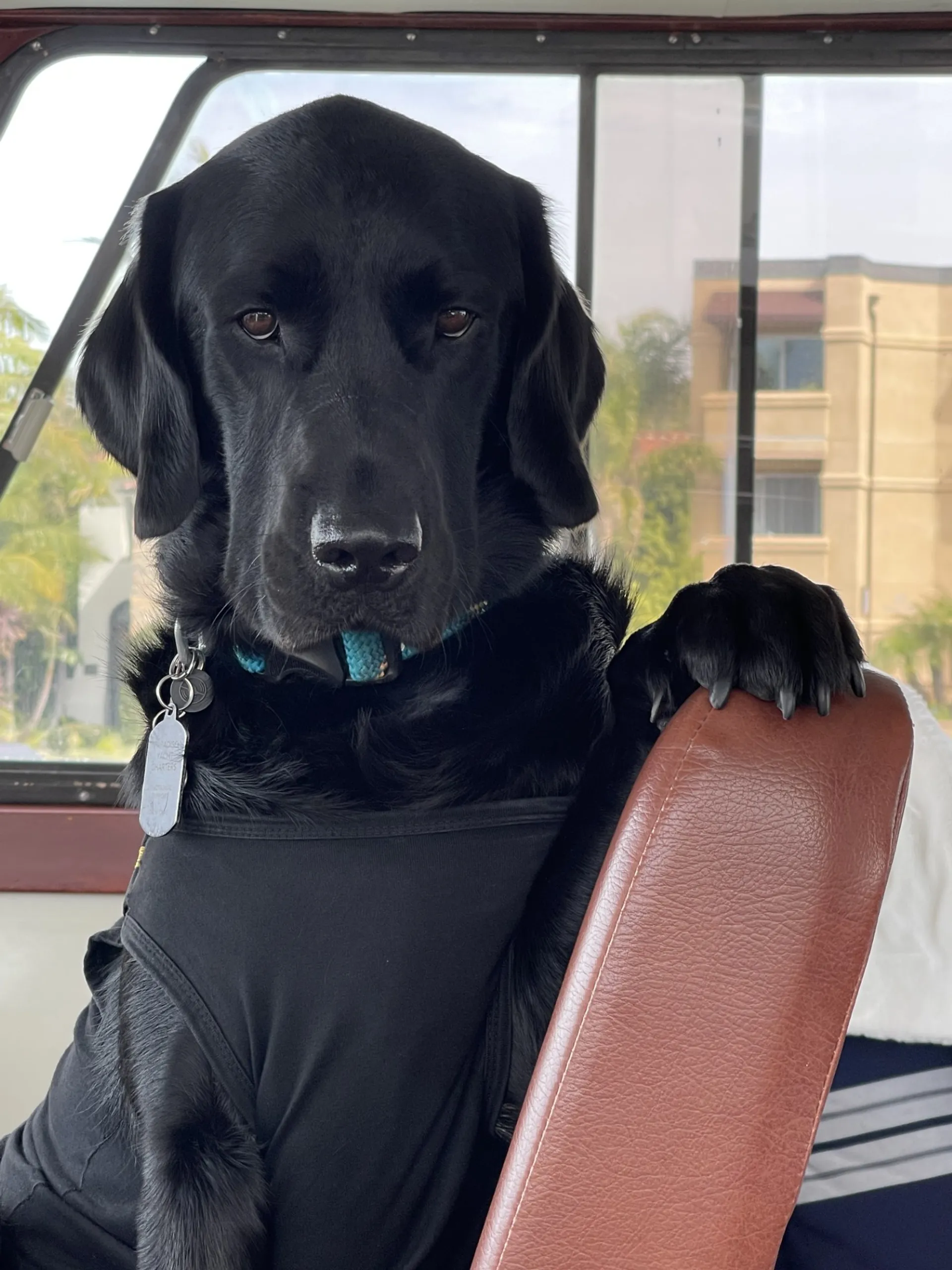 85' Pacifica 70 Passenger Sport Fisher "PARADISO"