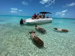 Huge  26’ Deck Boat  18’X6’ floating watermat included.  boat photo