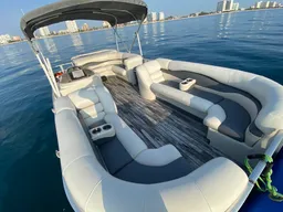 Luxury Pontoon (up to 13 passengers) boat photo