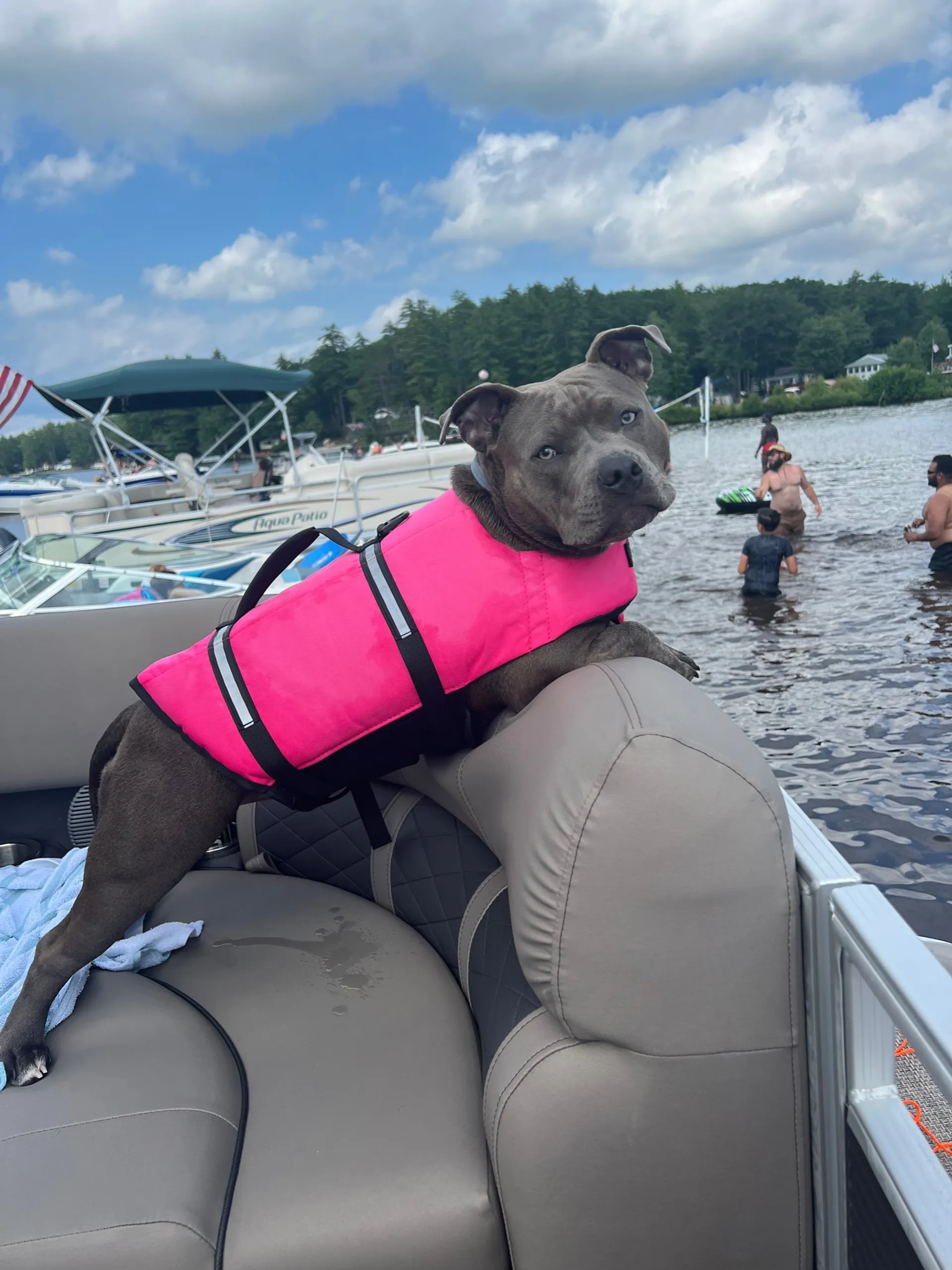 BENNINGTON MARINE 20 SF in Lebanon, ME — photo 5