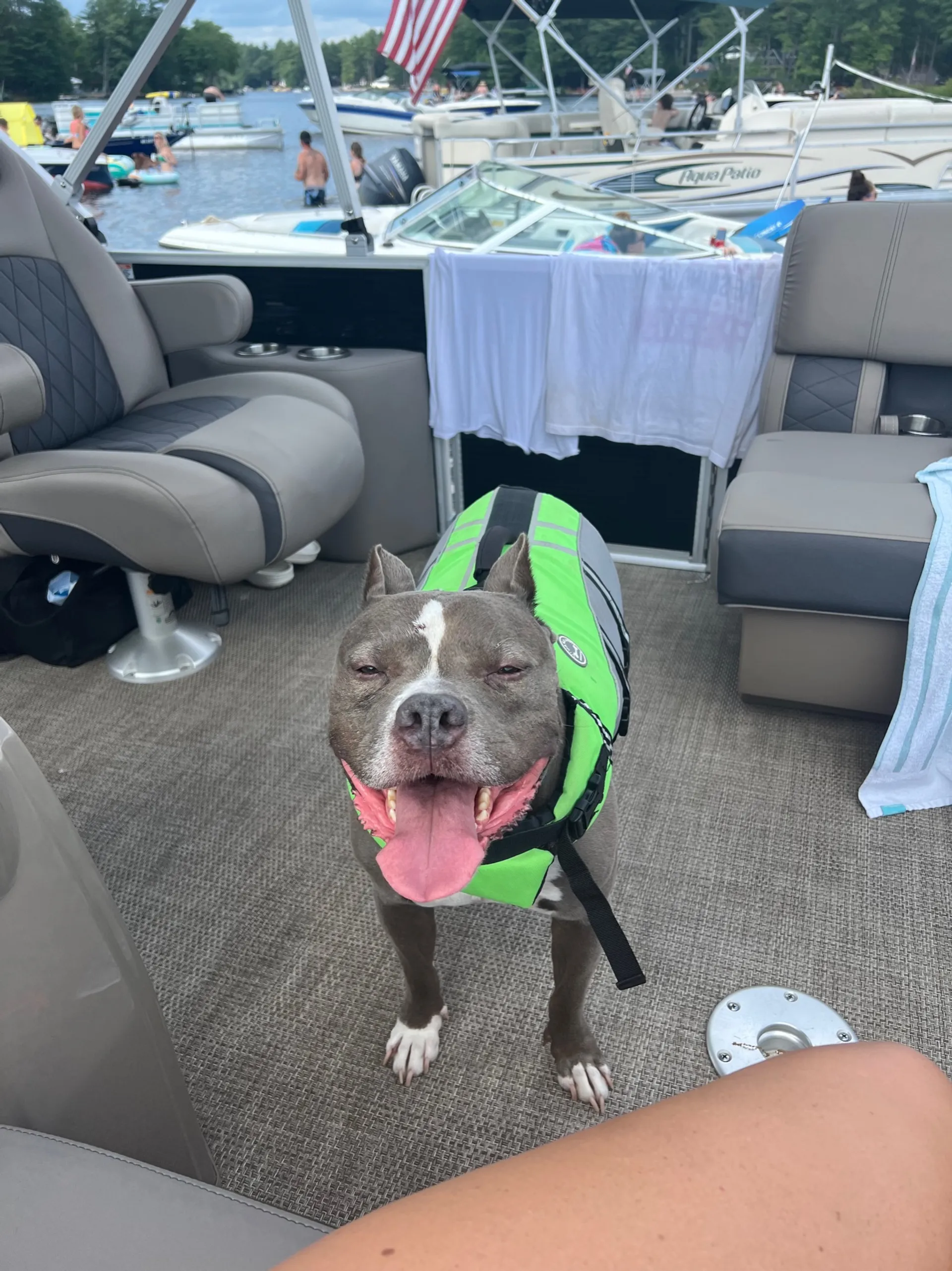 BENNINGTON MARINE 20 SF in Lebanon, ME — photo 4