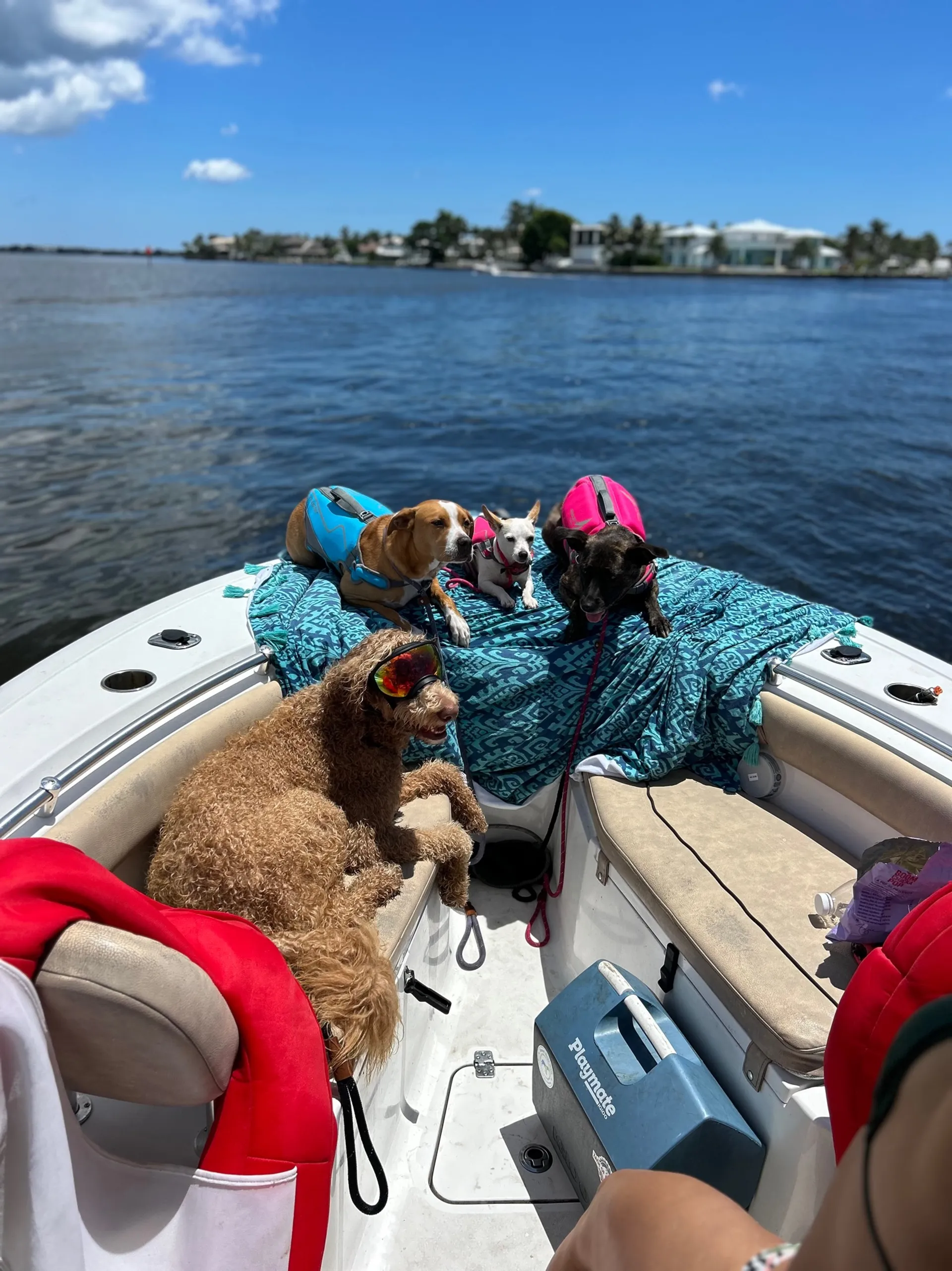 CLEAN! 2020 Sportsman 21ft CENTER CONSOLE