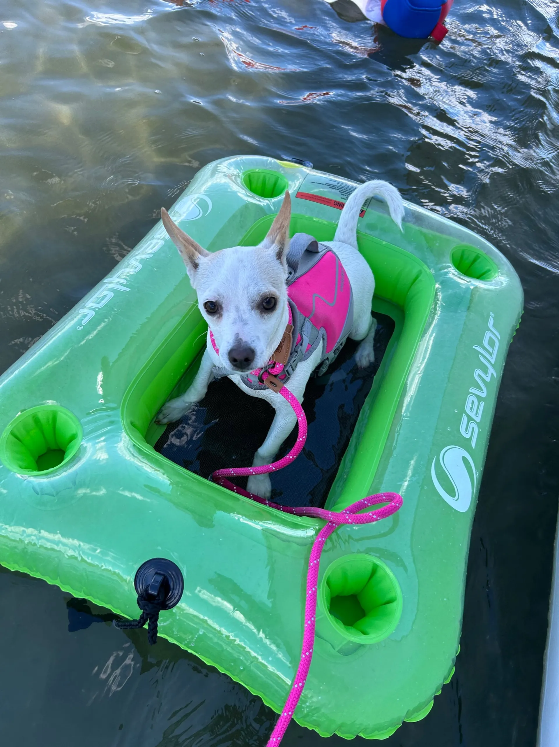 CLEAN! 2020 Sportsman 21ft CENTER CONSOLE