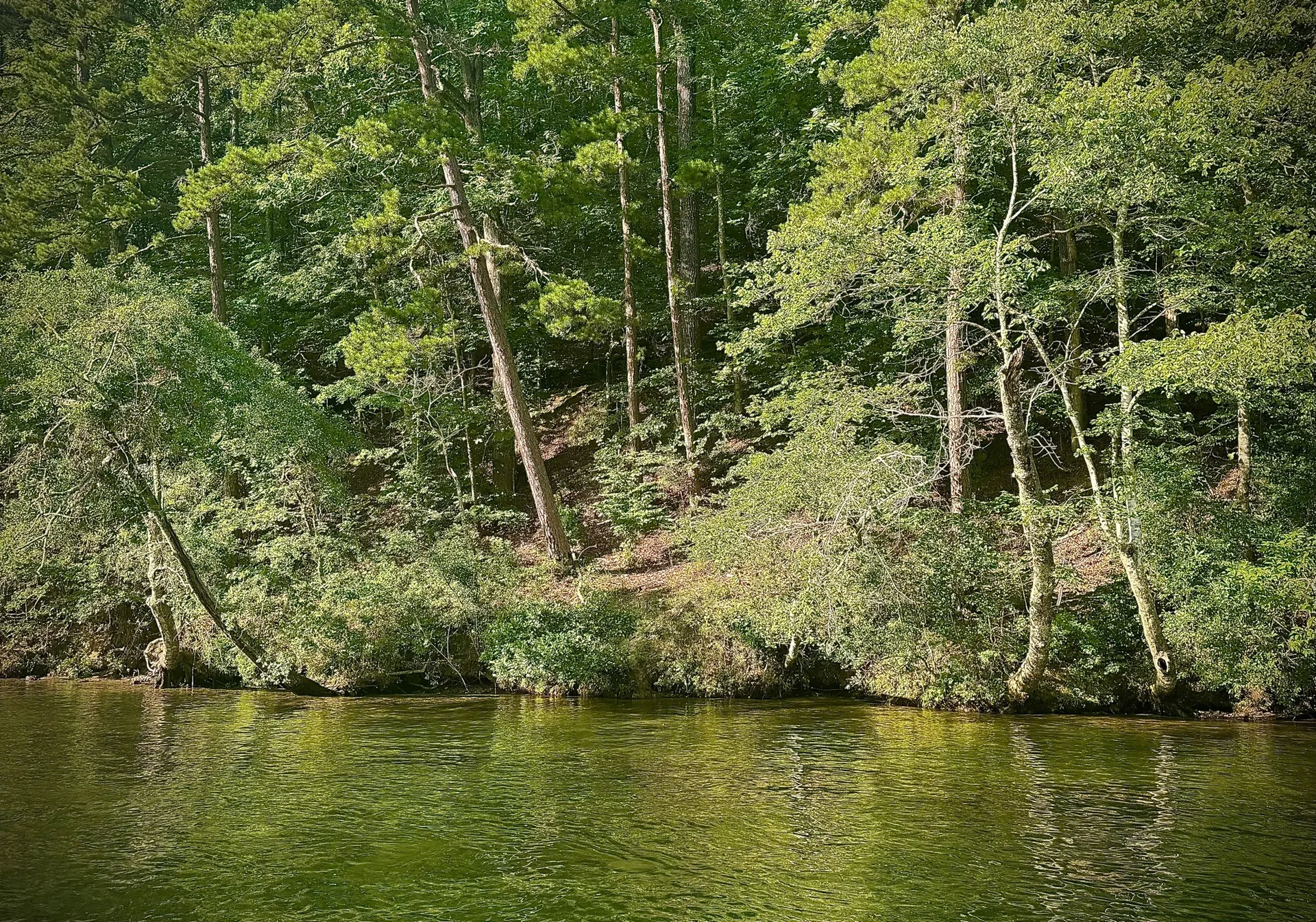 Francioni Tritoon - Perfect Location on Lake Hamilton