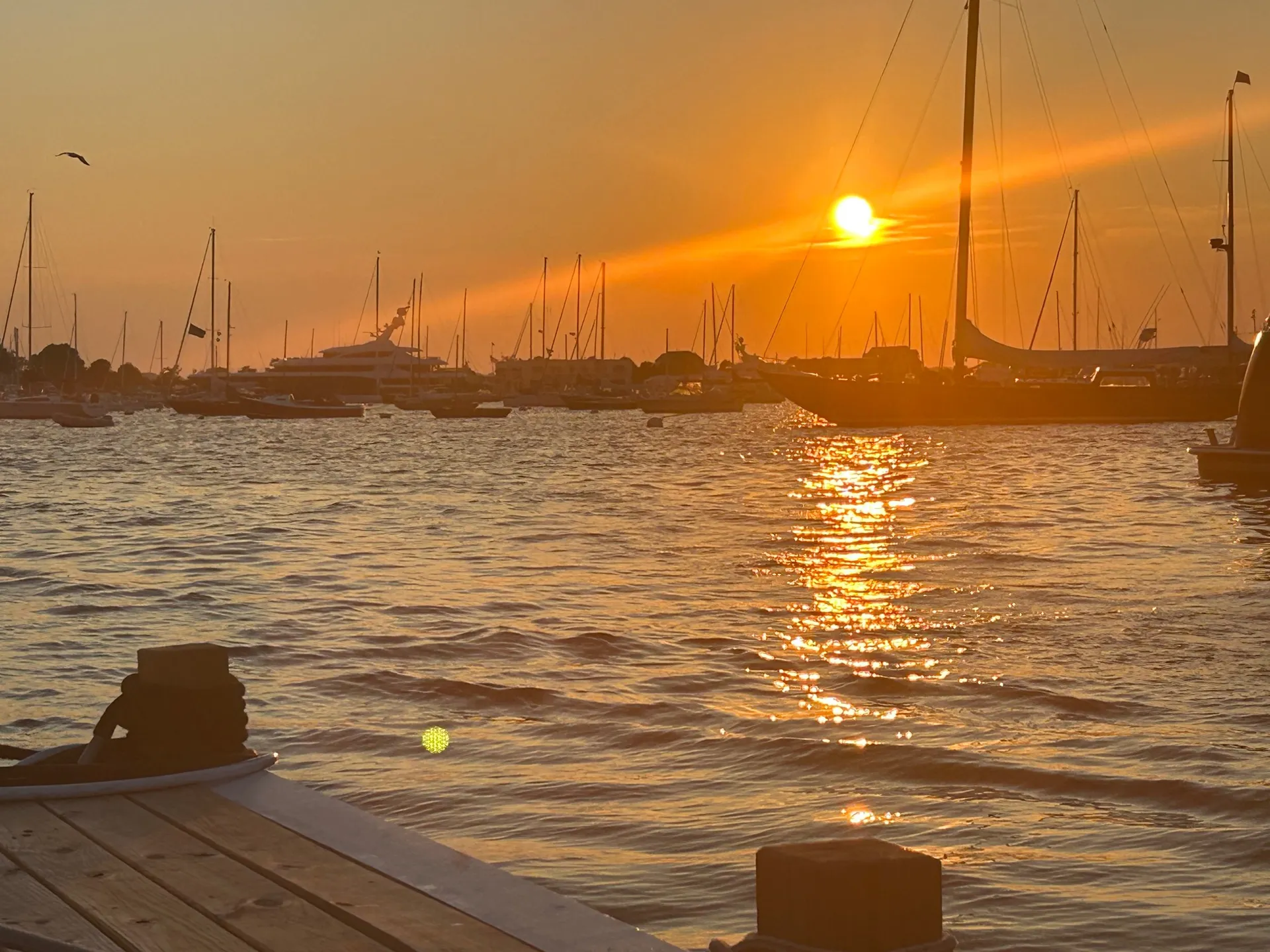 Relax, Cruise and Dine — Discover the Palm Beaches by Water!