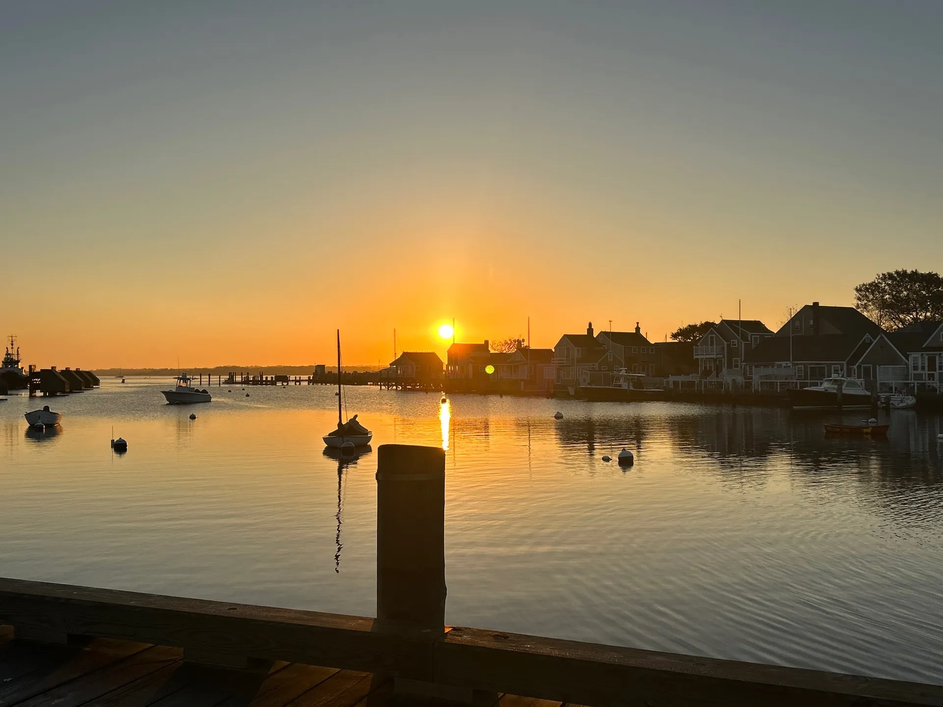 Relax, Cruise and Dine — Discover the Palm Beaches by Water!