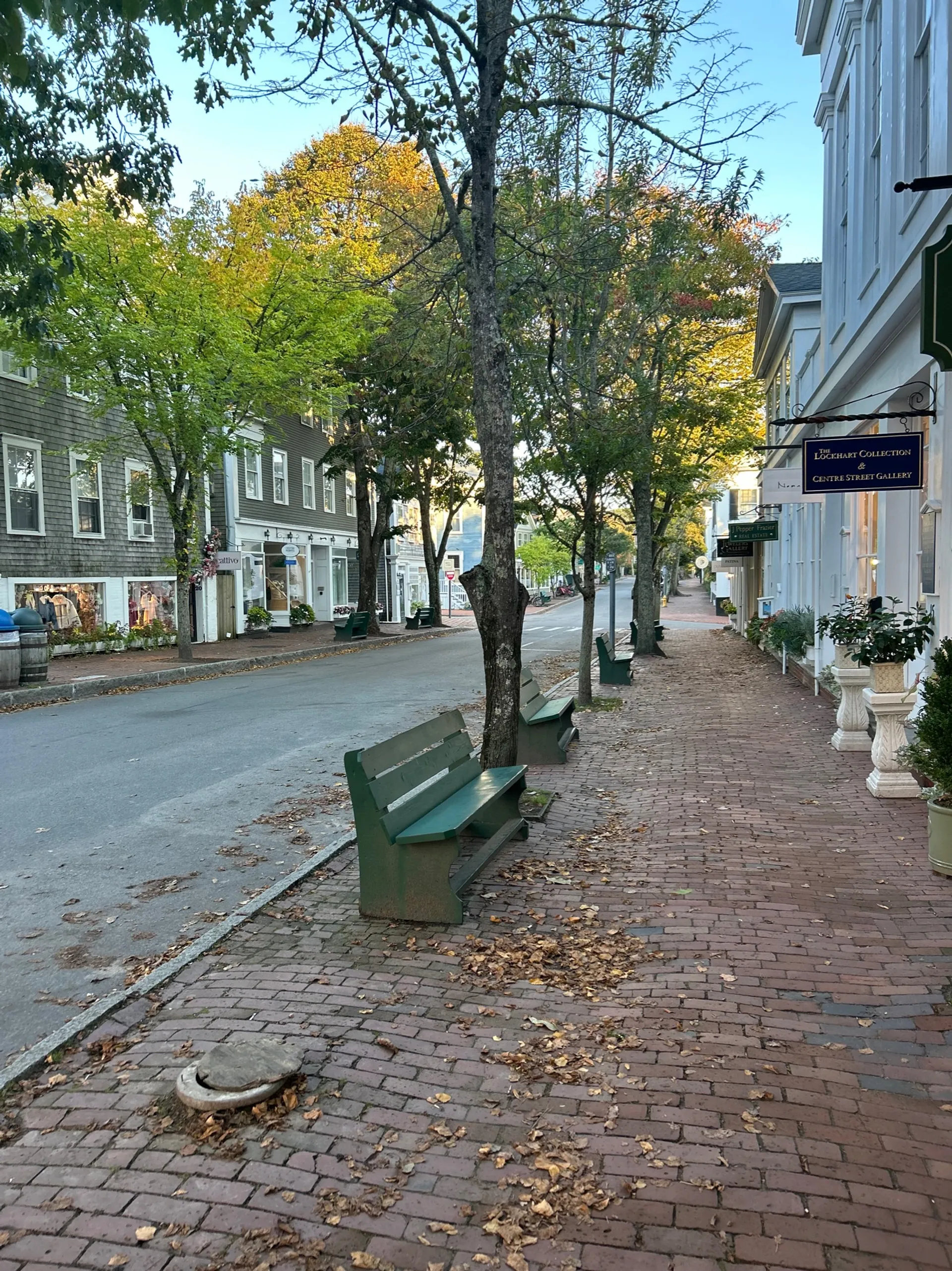 Relax, Cruise and Dine — Discover the Palm Beaches by Water!