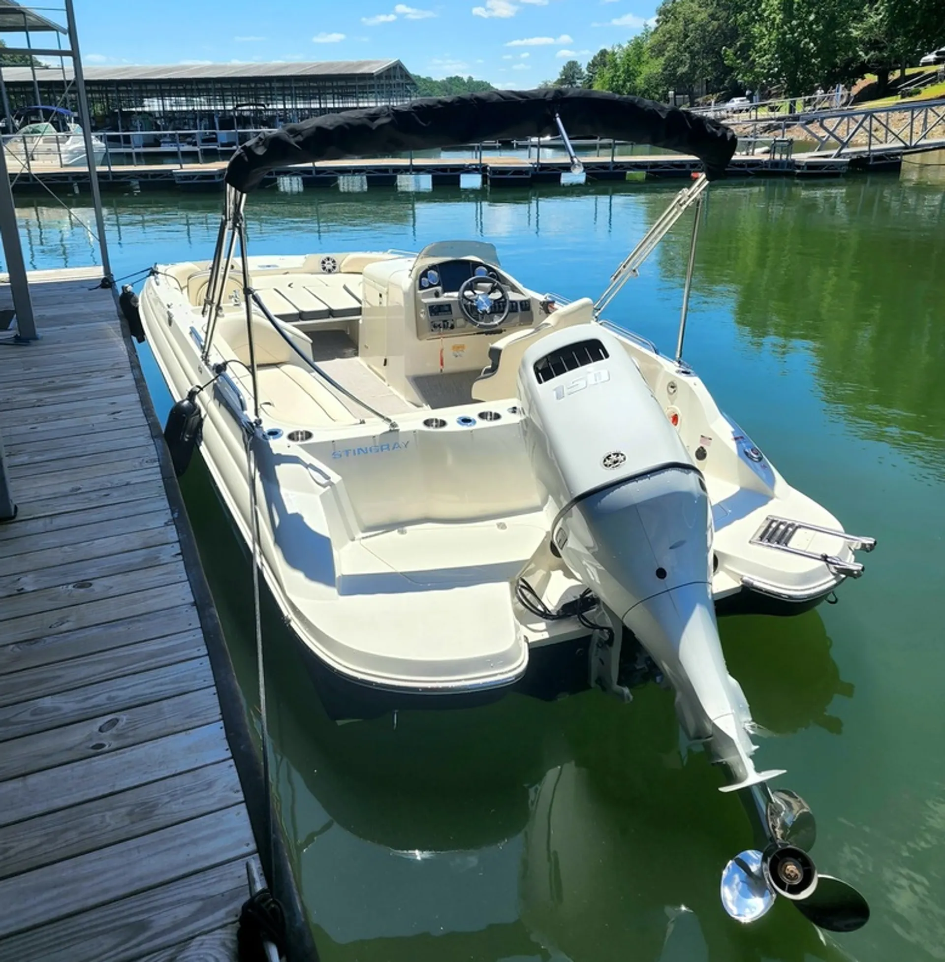 Stingray Ski/Fishing 12person Deckboat for Lake Lanier