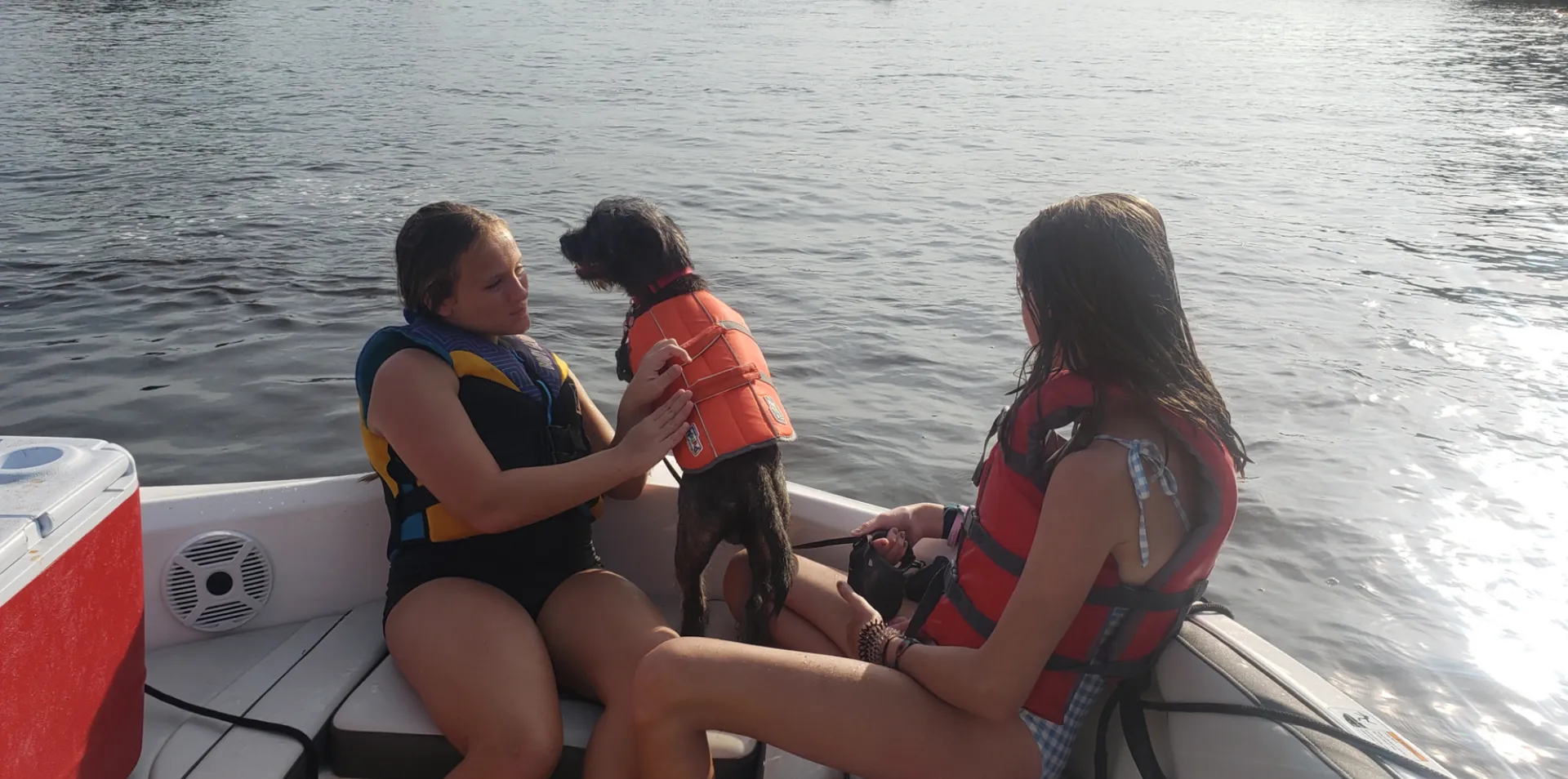 19' 2020 Yamaha AR190 in Clearwater, FL!