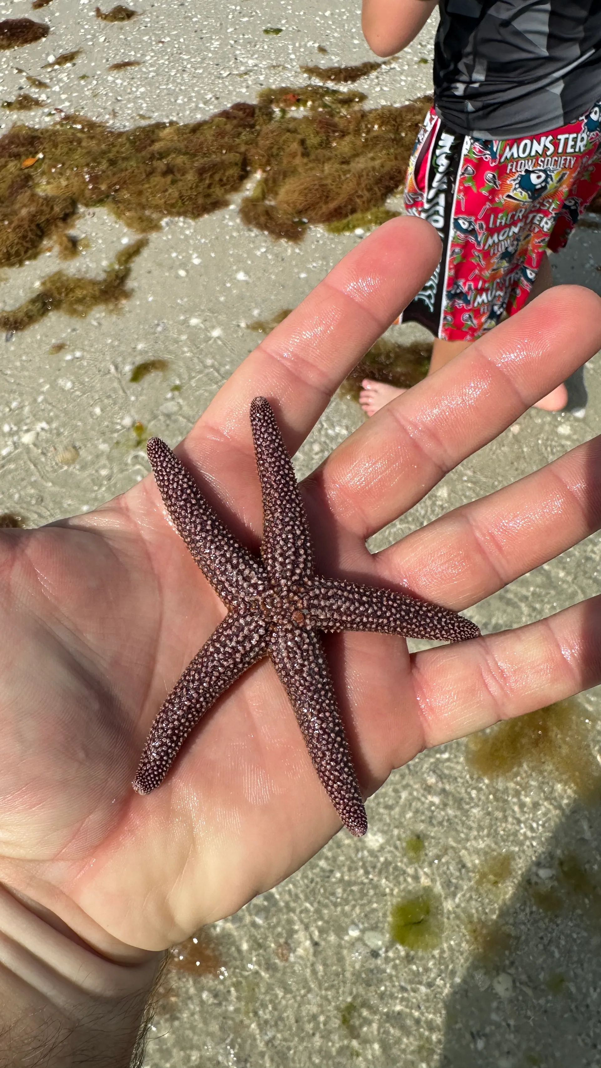 Naples:Keewaydin or Sunset -LUXURY service .All you need included!