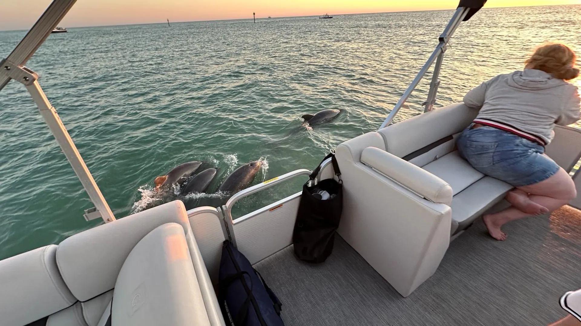 Naples:Keewaydin or Sunset -LUXURY service .All you need included!