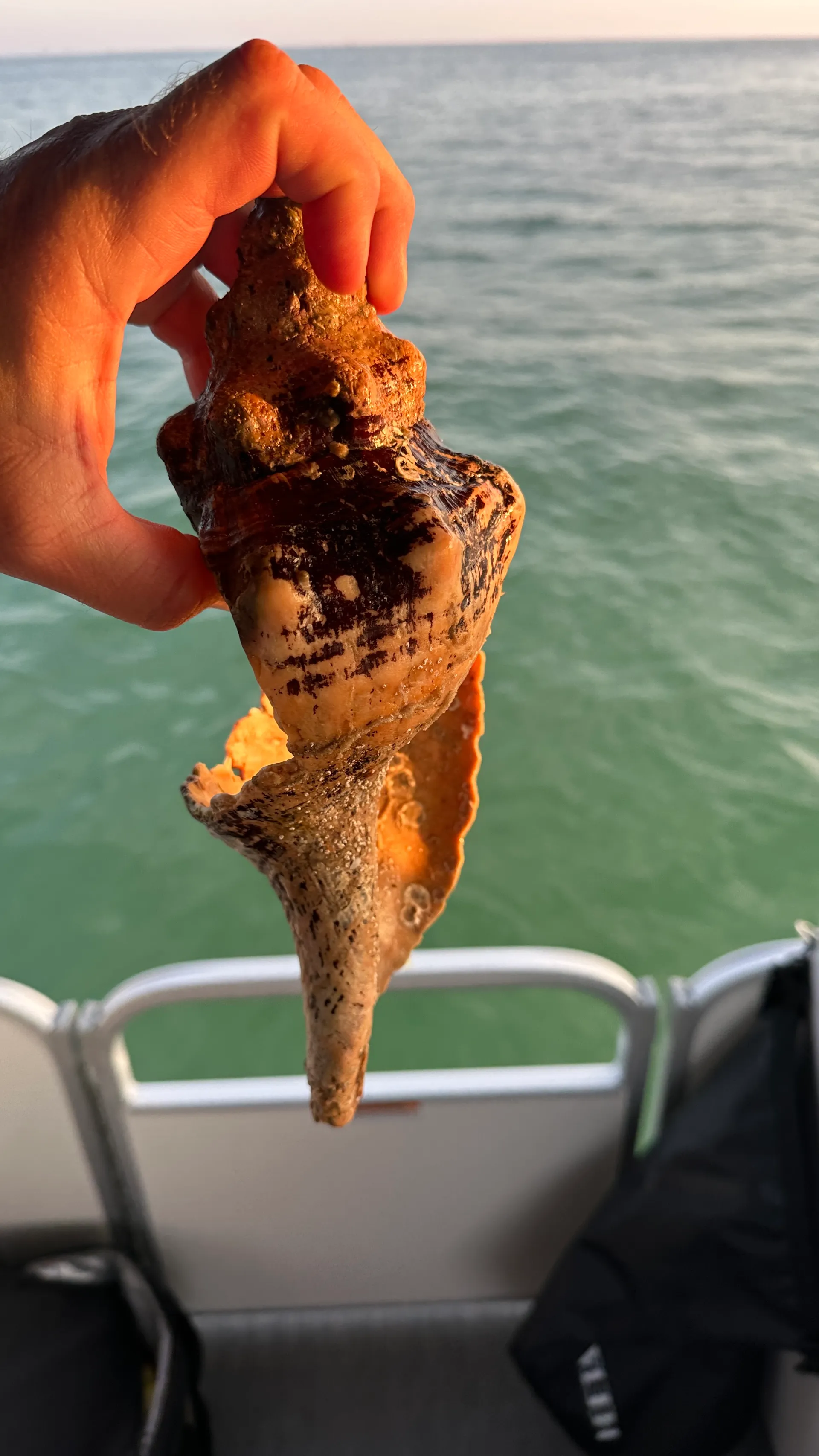 Naples:Keewaydin or Sunset -LUXURY service .All you need included!