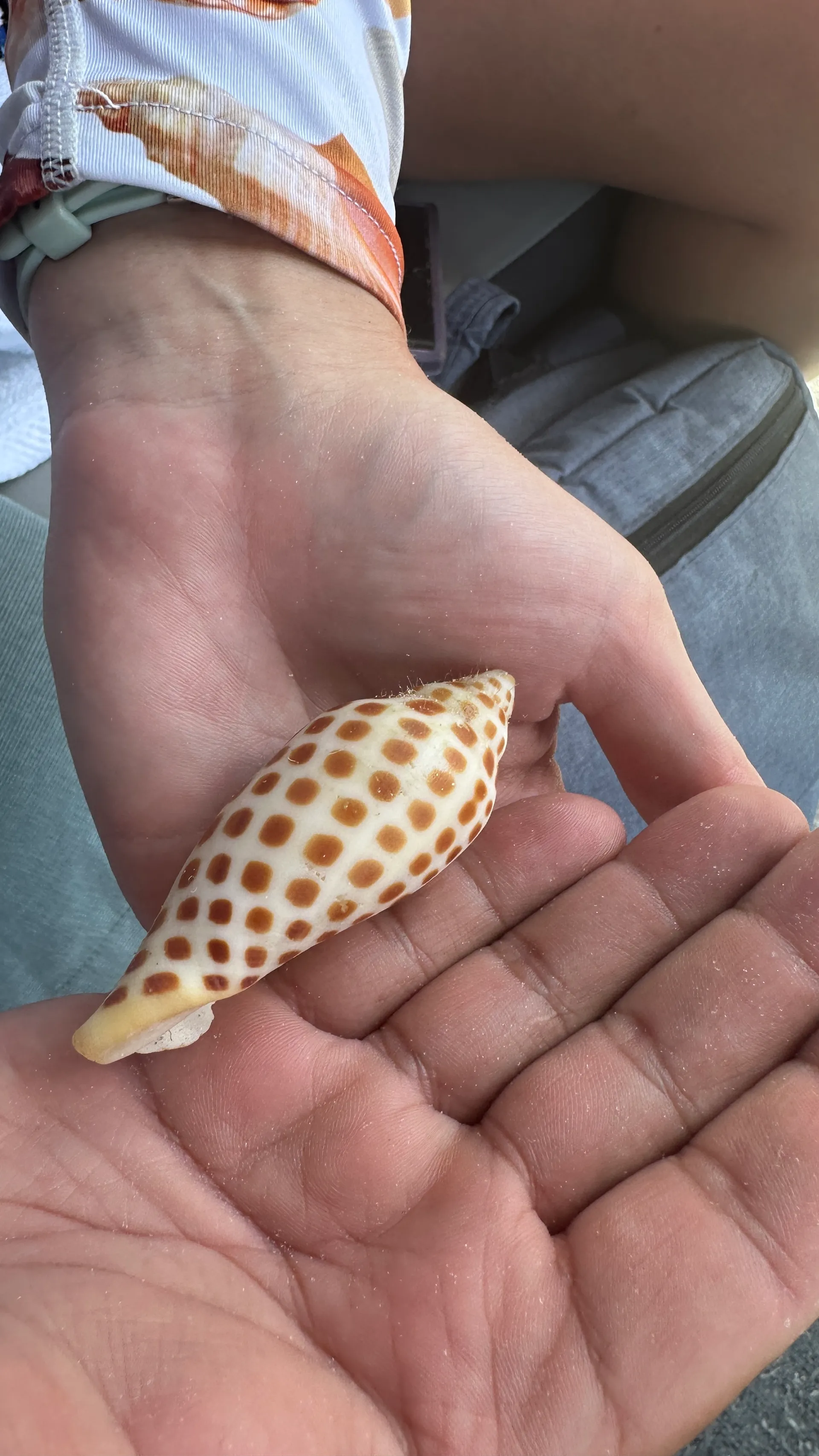 Naples:Keewaydin or Sunset -LUXURY service .All you need included!