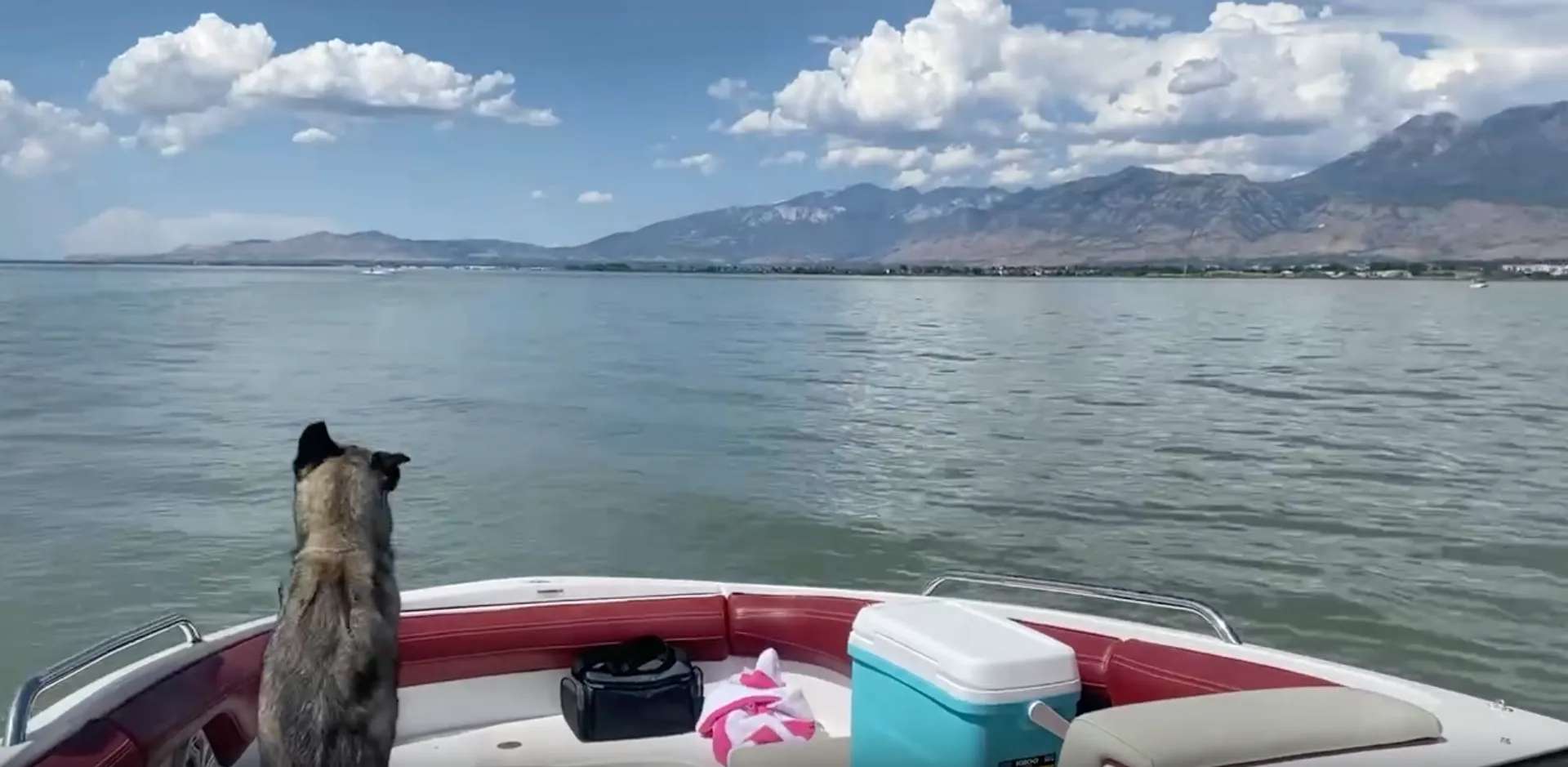 SEA-DOO 230 CHALLENGER SE TOWER W/TRAILER in Spanish Fork, UT — photo 4