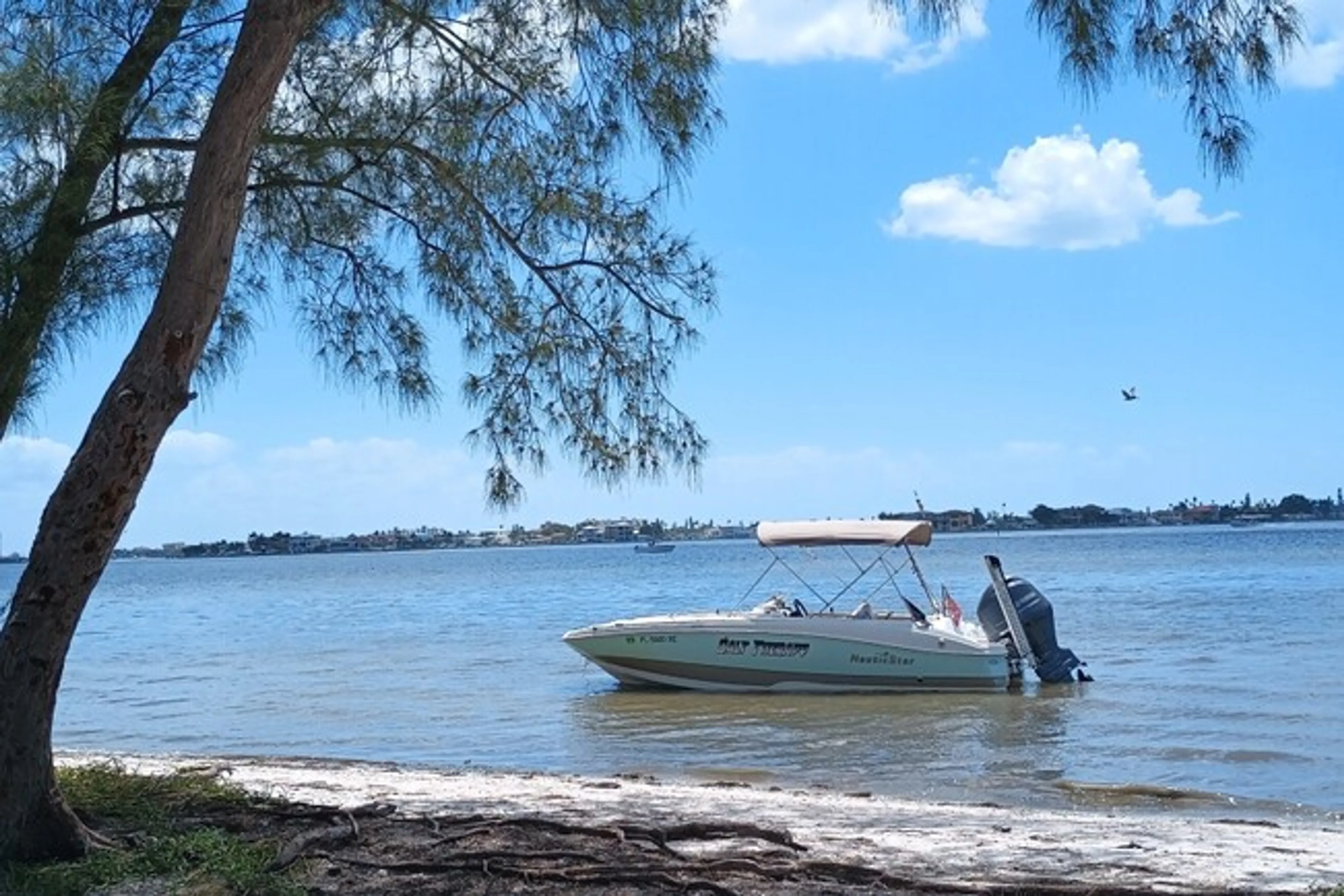 boat
