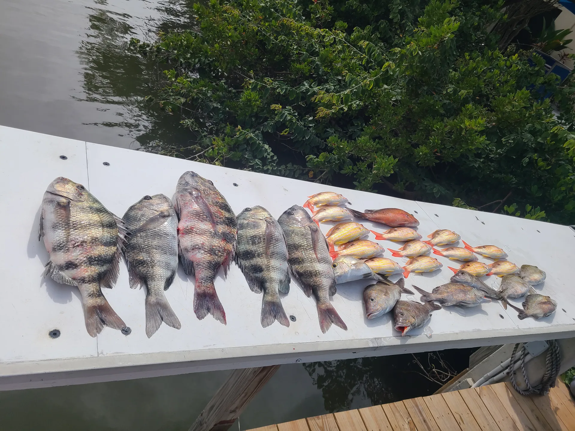 Flat Bottom Girl Charters
