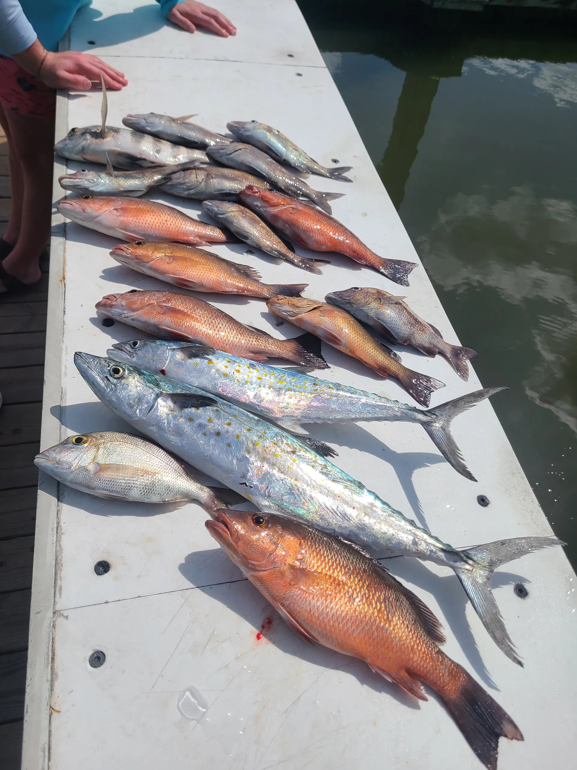 Flat Bottom Girl Charters