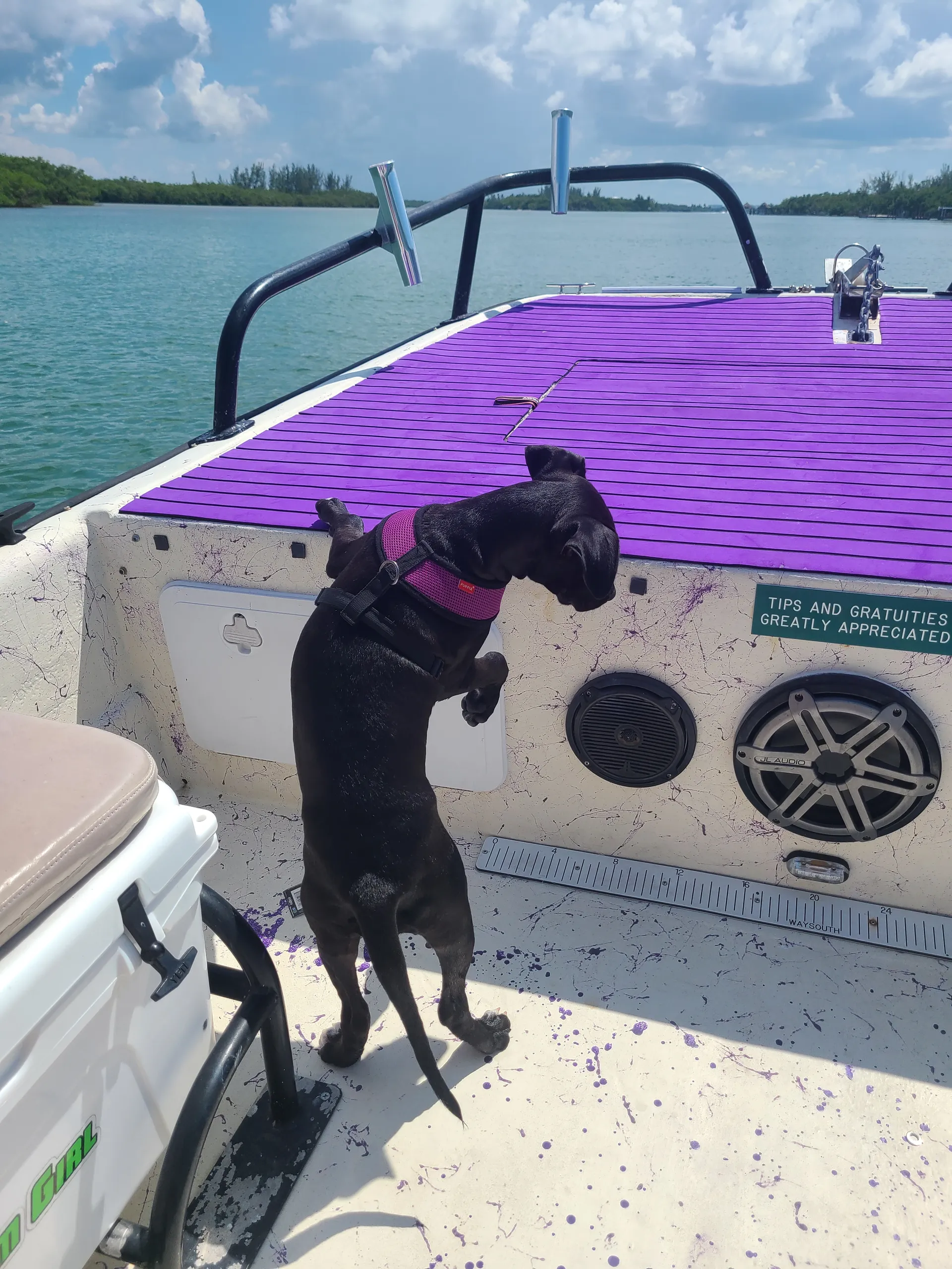 Flat Bottom Girl Charters