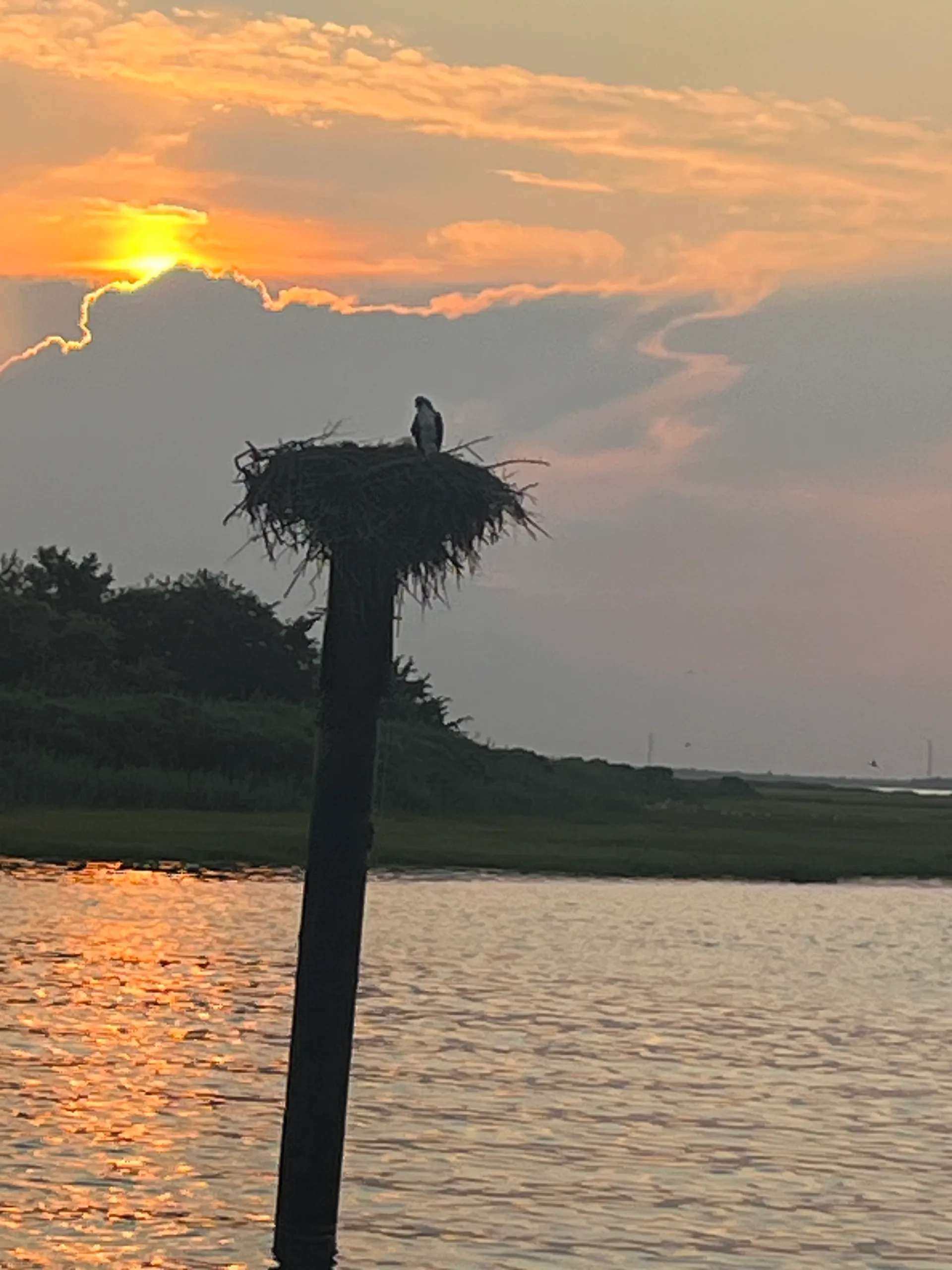 Charters on Laurianna - Sunset Cruise, Eco tours, Fishing charters