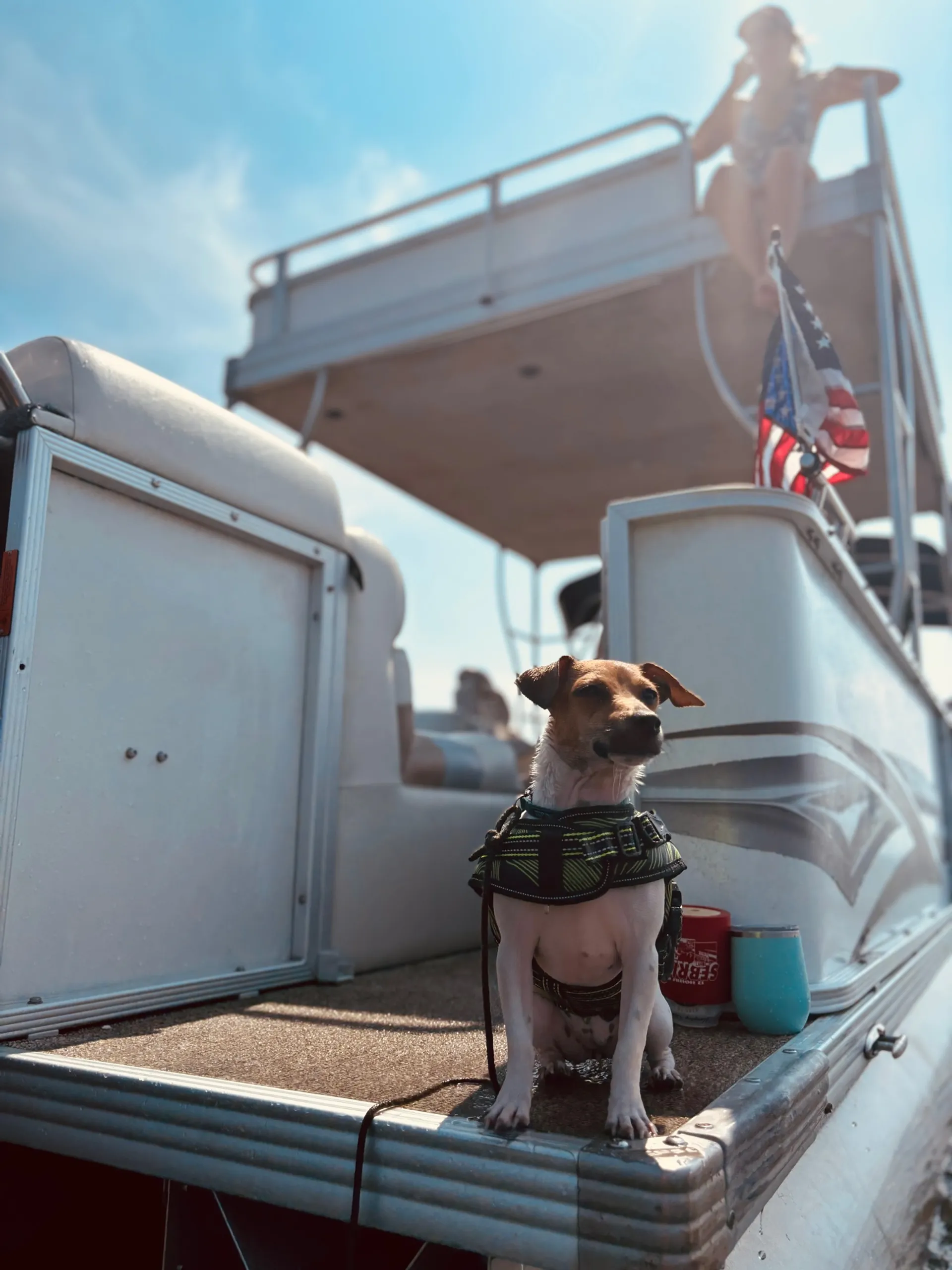 Crest Pontoons 27 Caribean in Savannah, GA — photo 6