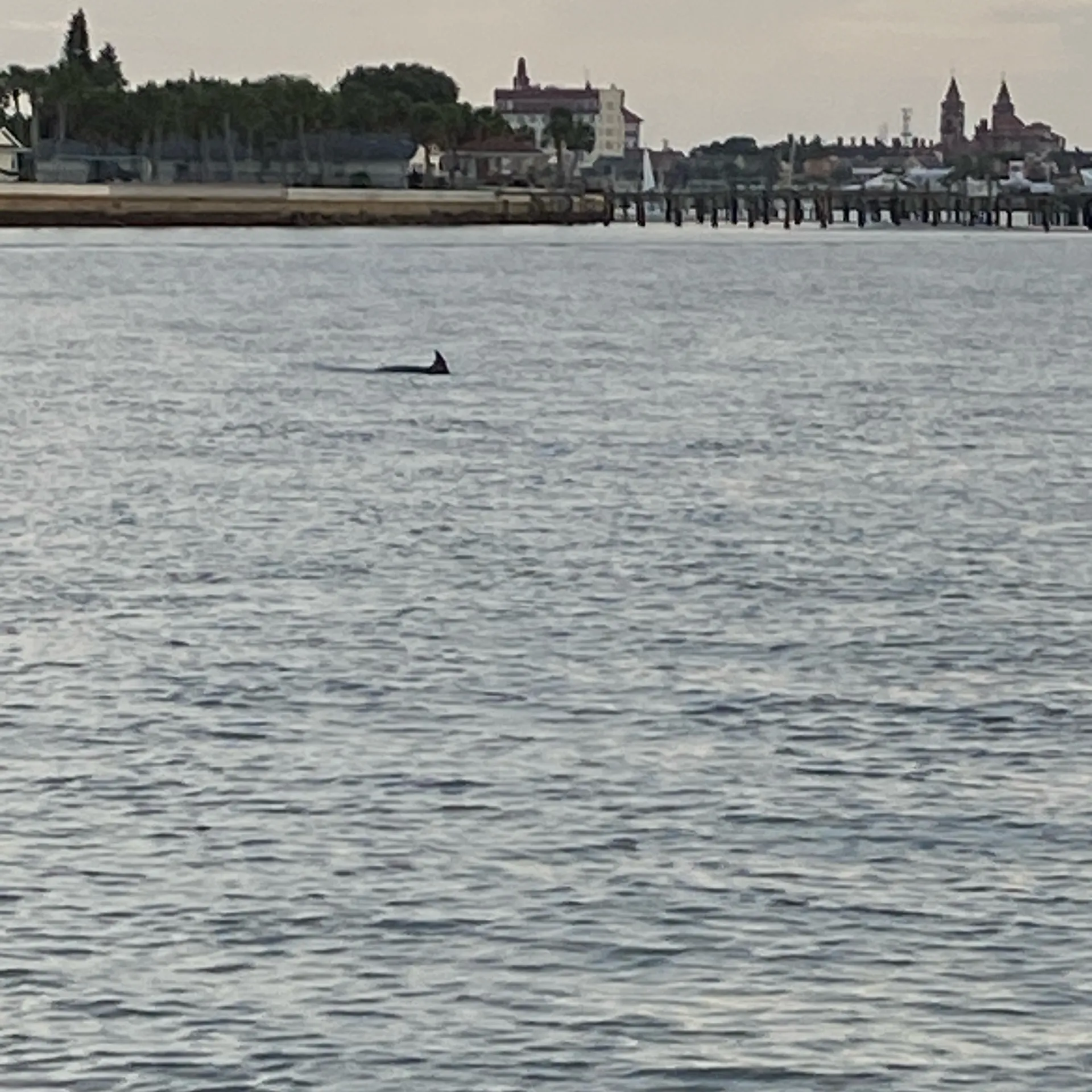 Come explore St Augustine, dolphins sunsets and sandbars! 12person 