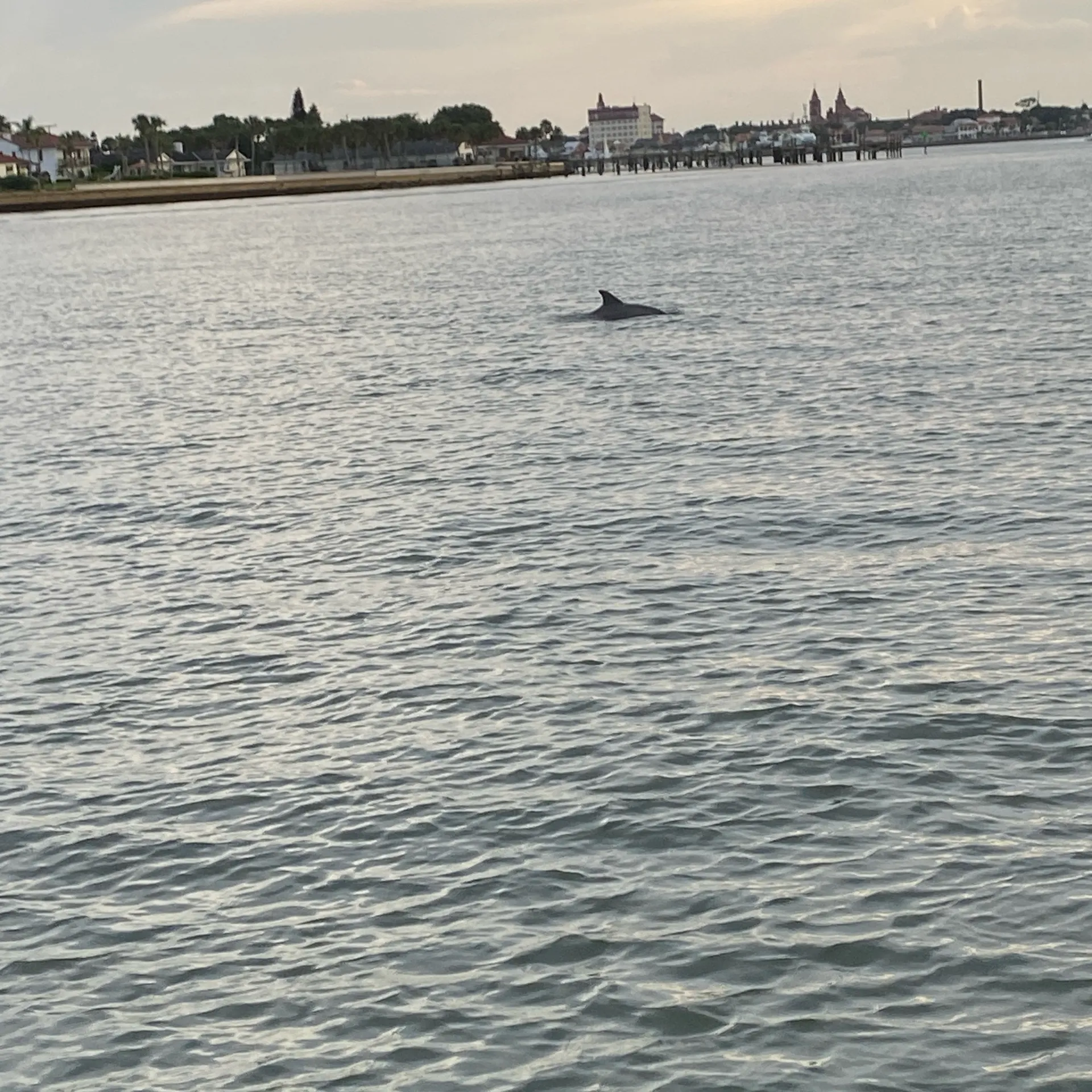 Come explore St Augustine, dolphins sunsets and sandbars! 12person 