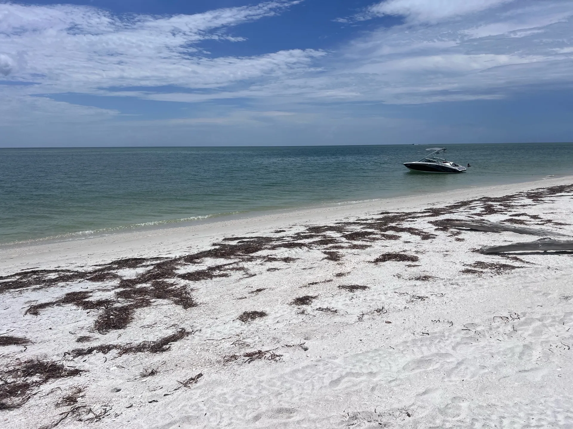 JetBoat Yamaha AR190 