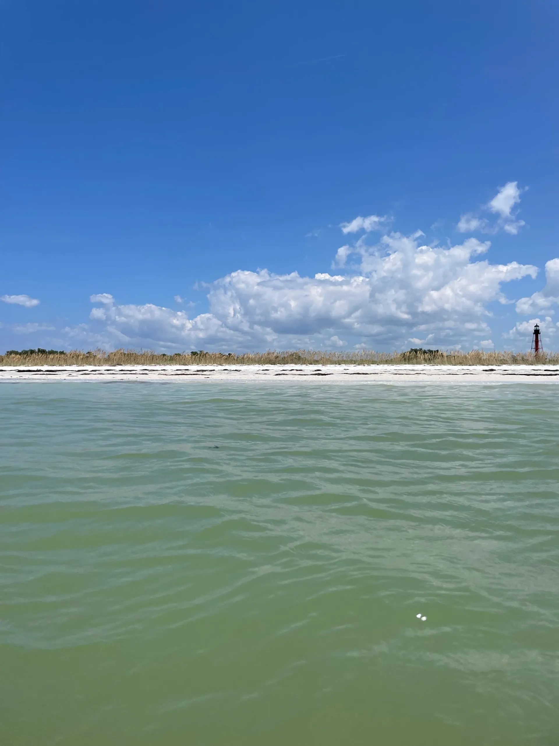 Regal OBX 24Ft Spacious, Fuel Included! Social Seating,No hidden Fees!