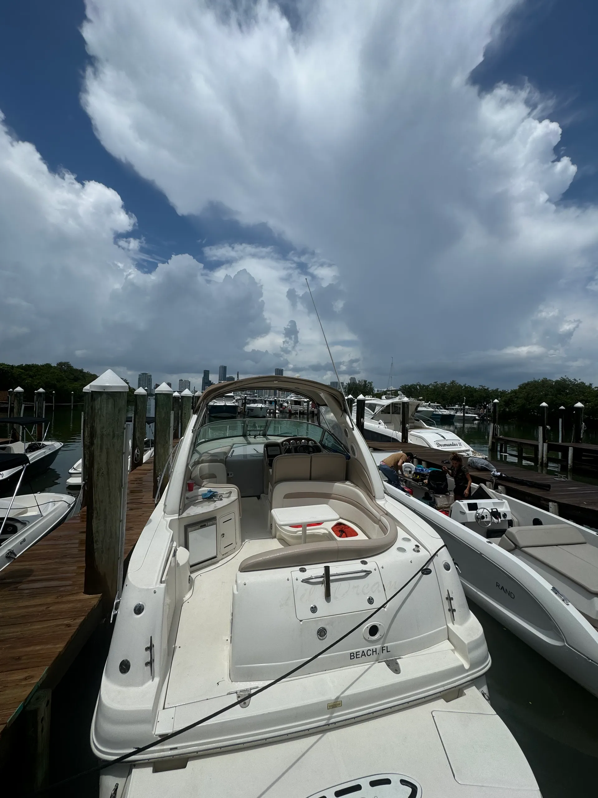 Sea Ray Boats 360 Sundancer in Miami, FL — photo 3