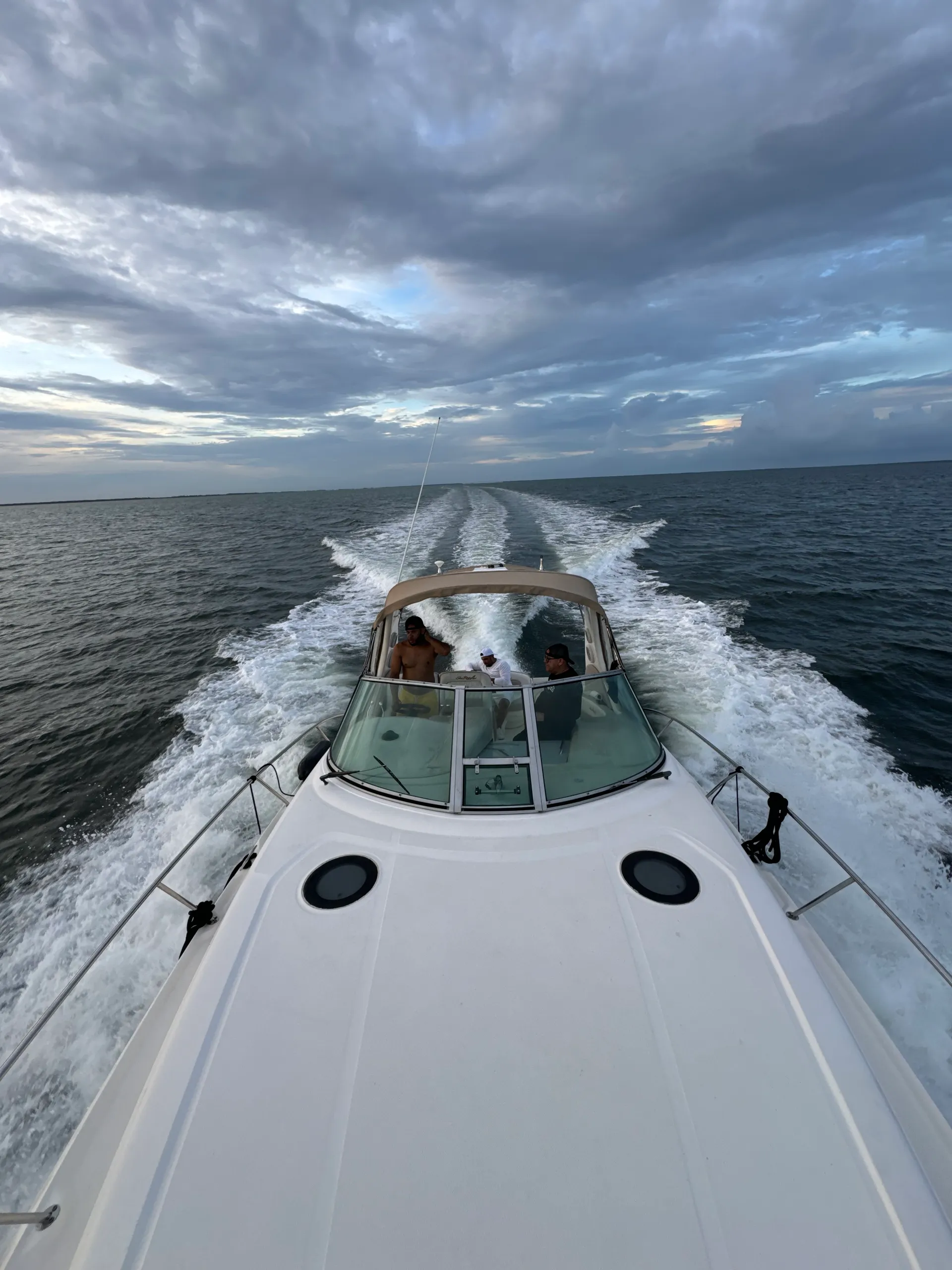Sea Ray Boats 360 Sundancer in Miami, FL — photo 7