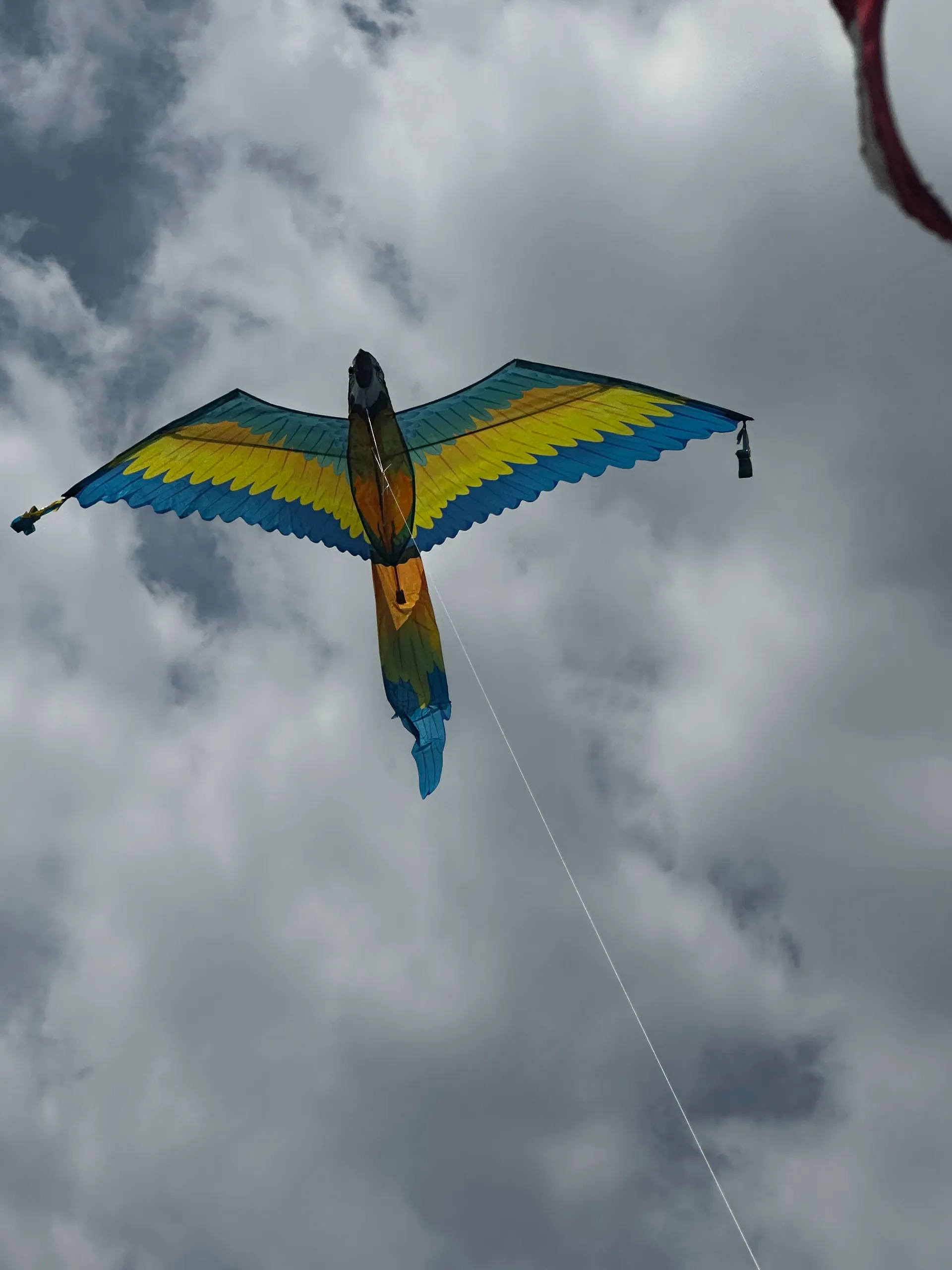 Jersey Shore Fun!!  Formula 40 PC