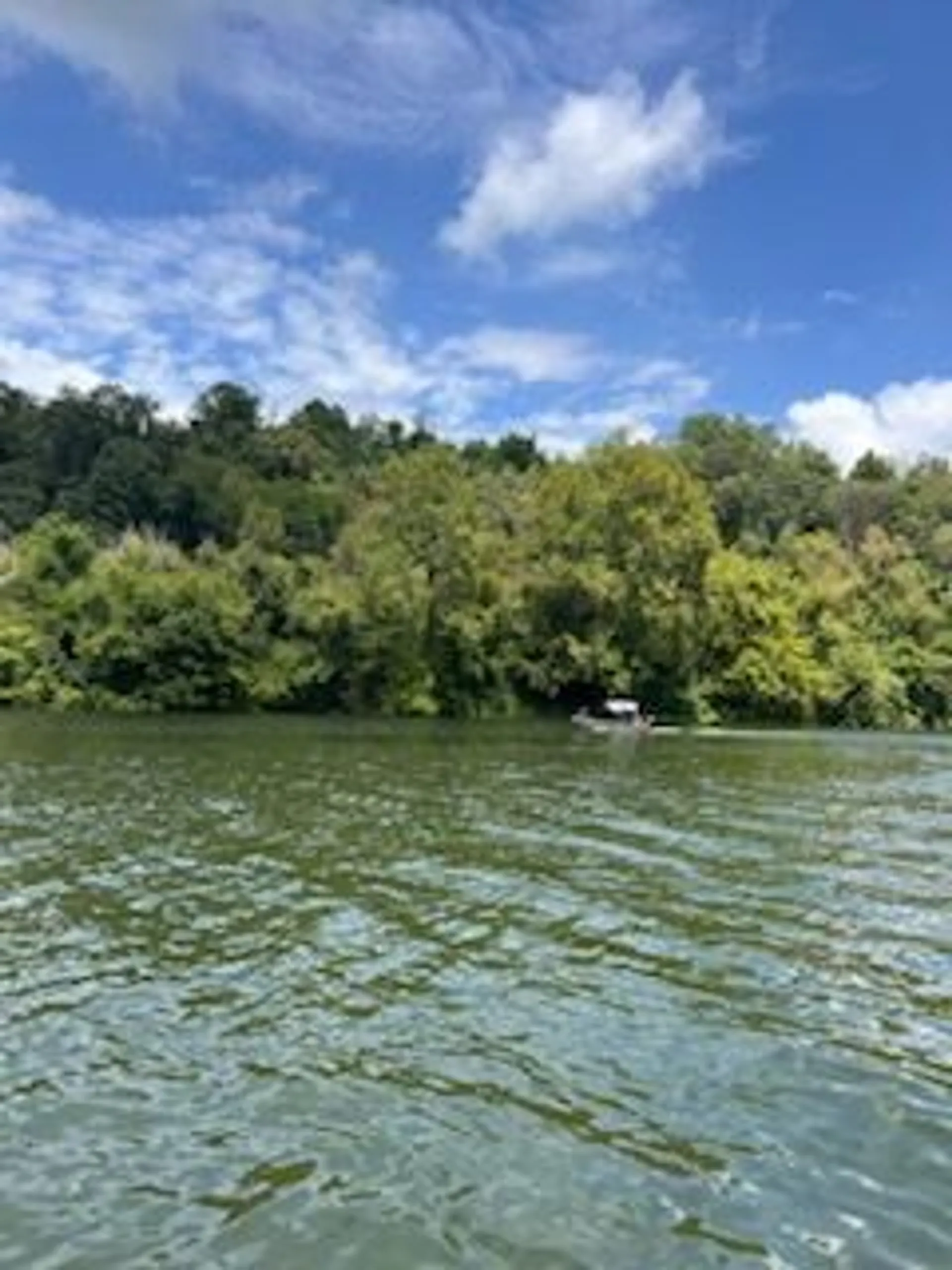 Easy-Operate Camo Fishing Boat for 4 – Family & Pet Friendly Adventure