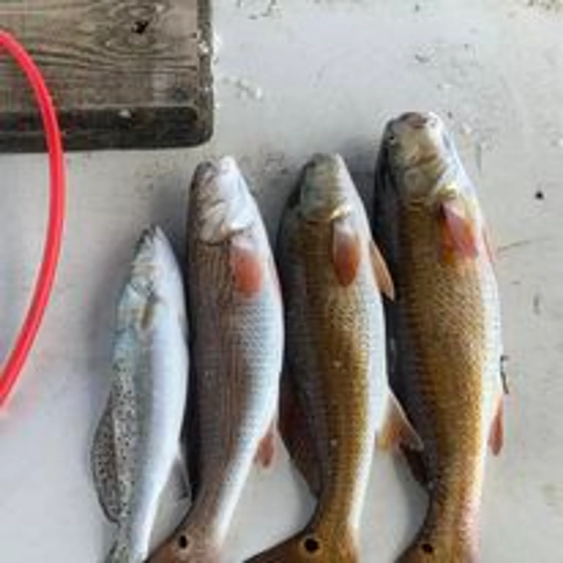 2022 Majek Illusion M2 23 Foot 