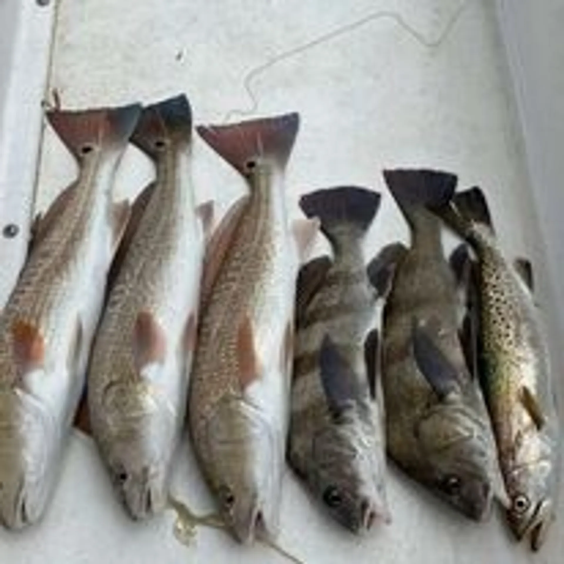 2022 Majek Illusion M2 23 Foot 