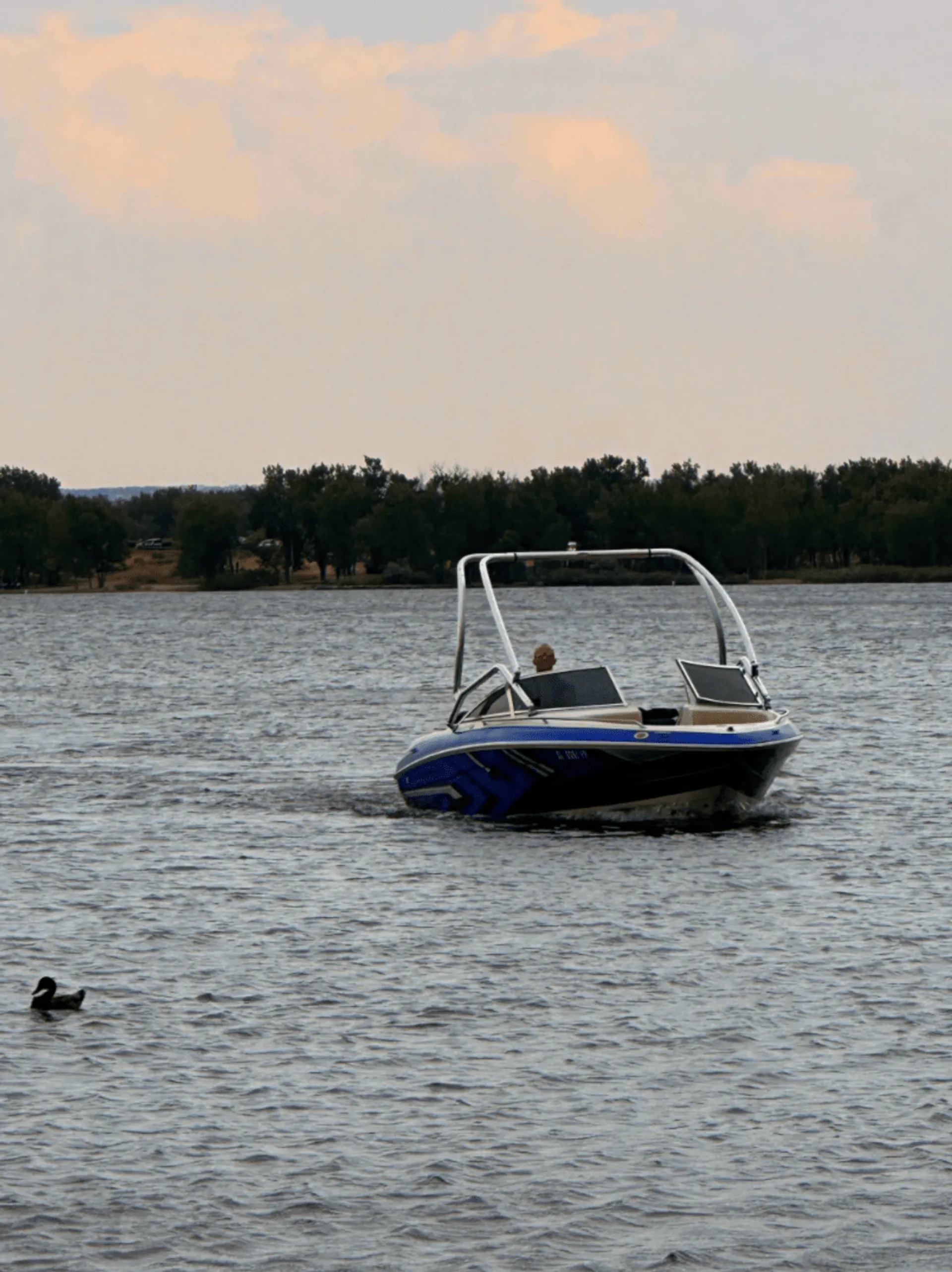 Sea Ray Boats 190 Bow Rider in Aurora, CO — photo 6