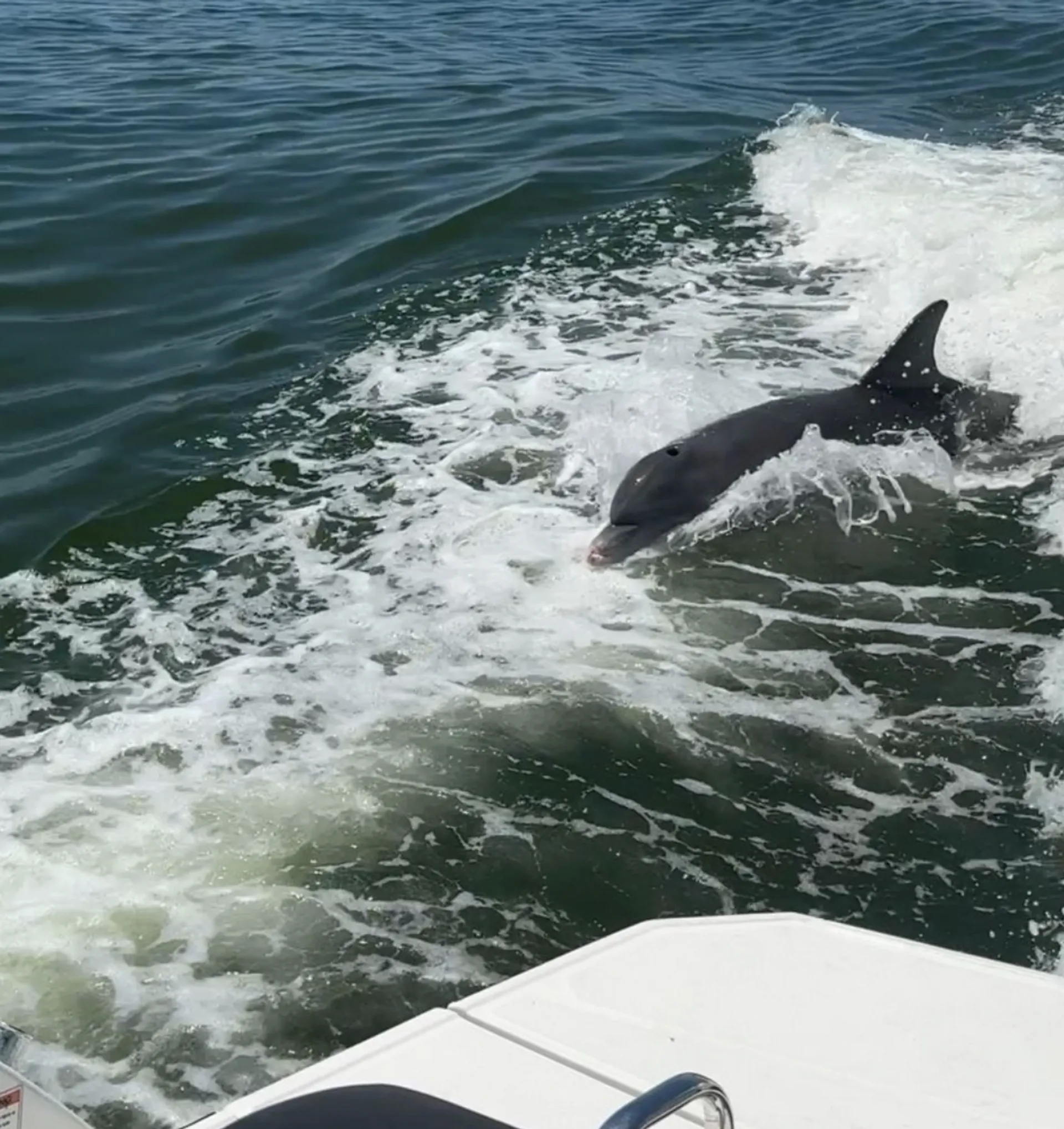 Monterey Boats 286 Cruiser in Cape Coral, FL — photo 3