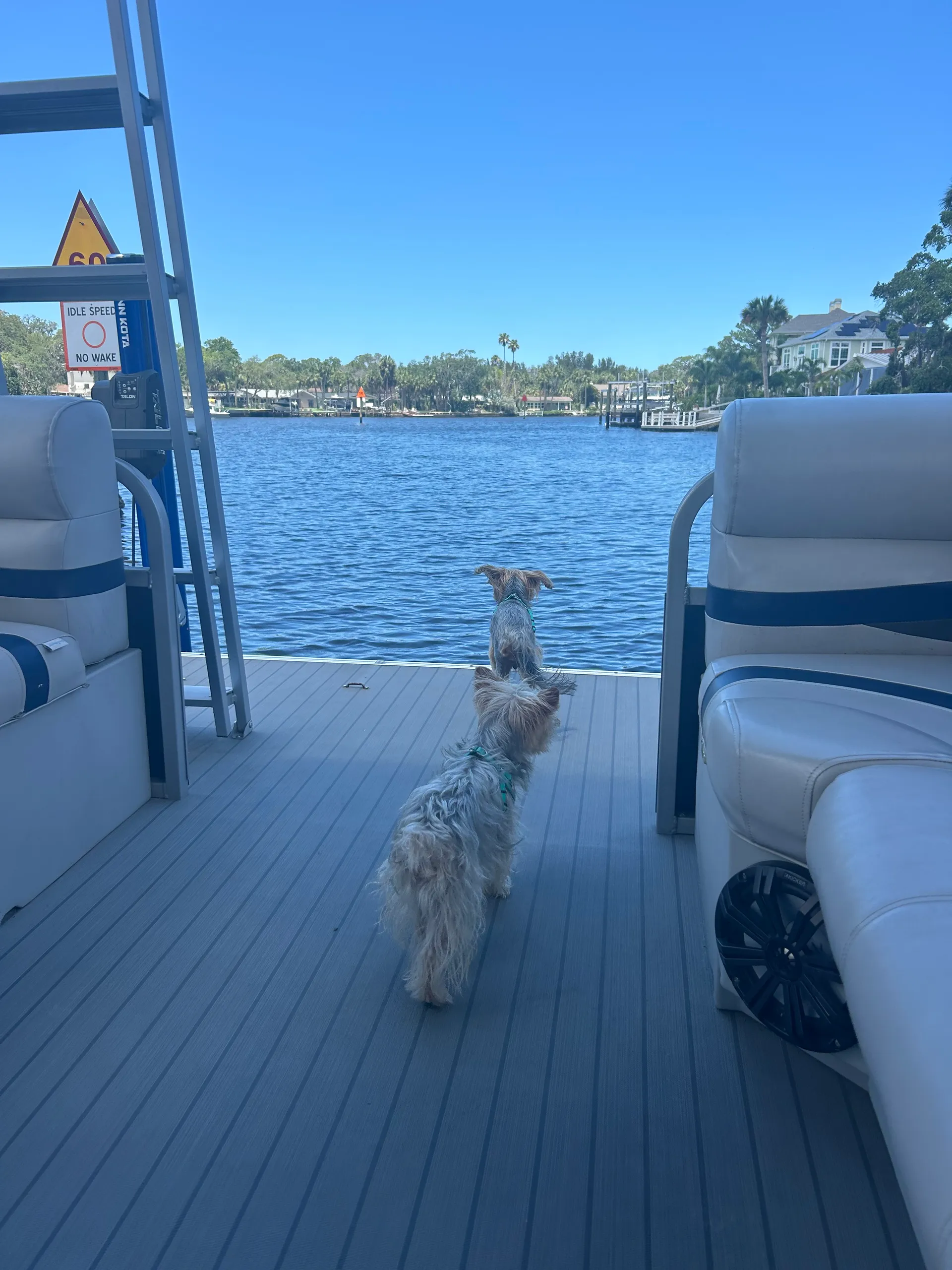 Floating paradise! Rent our 30ft Tritoon 