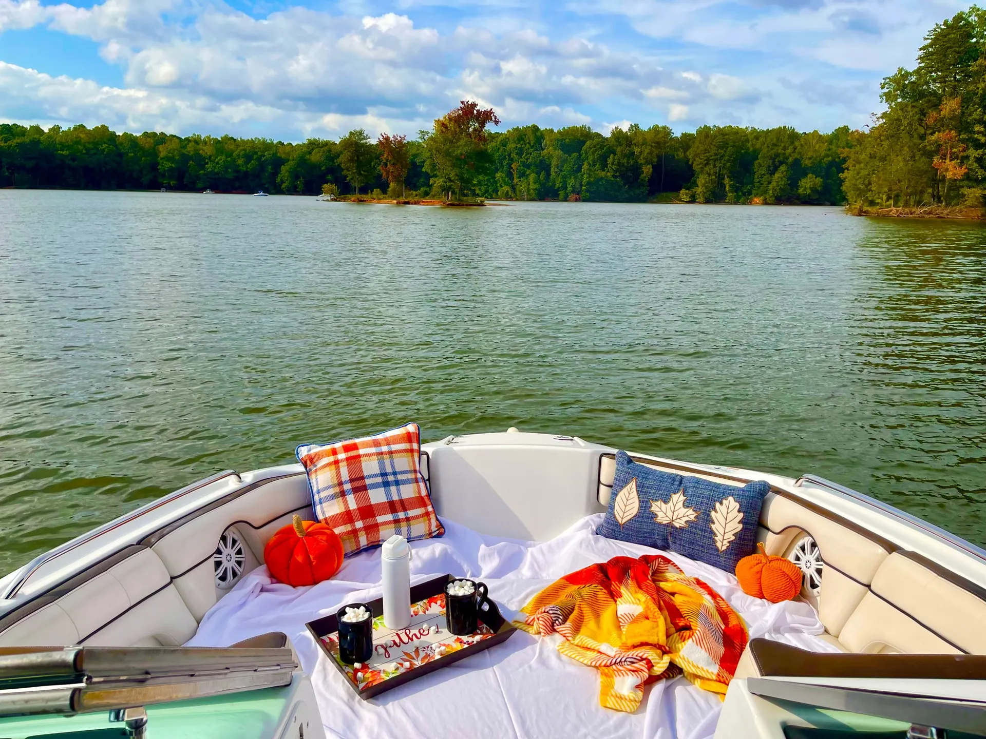 Yamaha on Lake Wylie *INCLUDES GAS*
