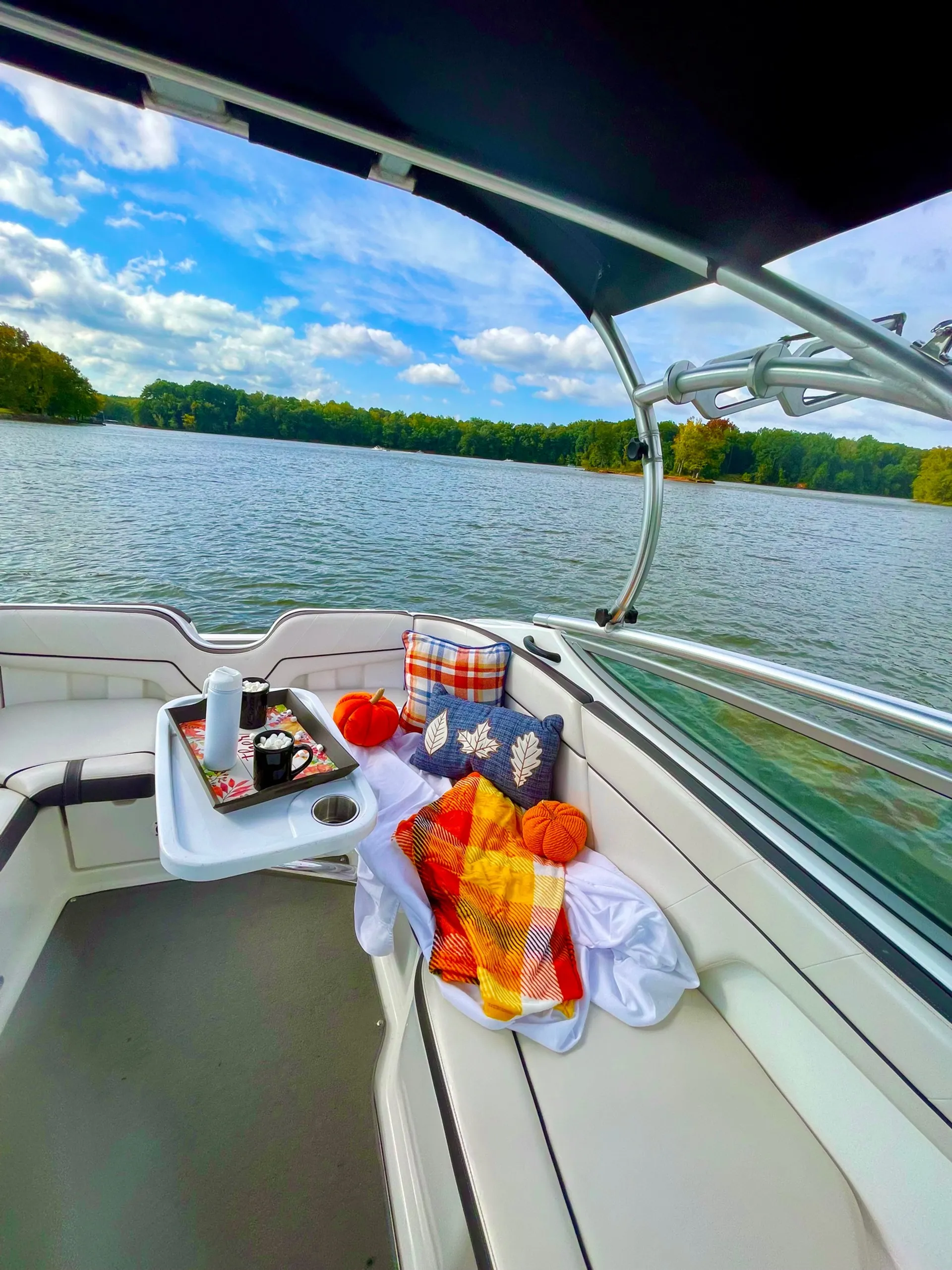 Yamaha on Lake Wylie *INCLUDES GAS*
