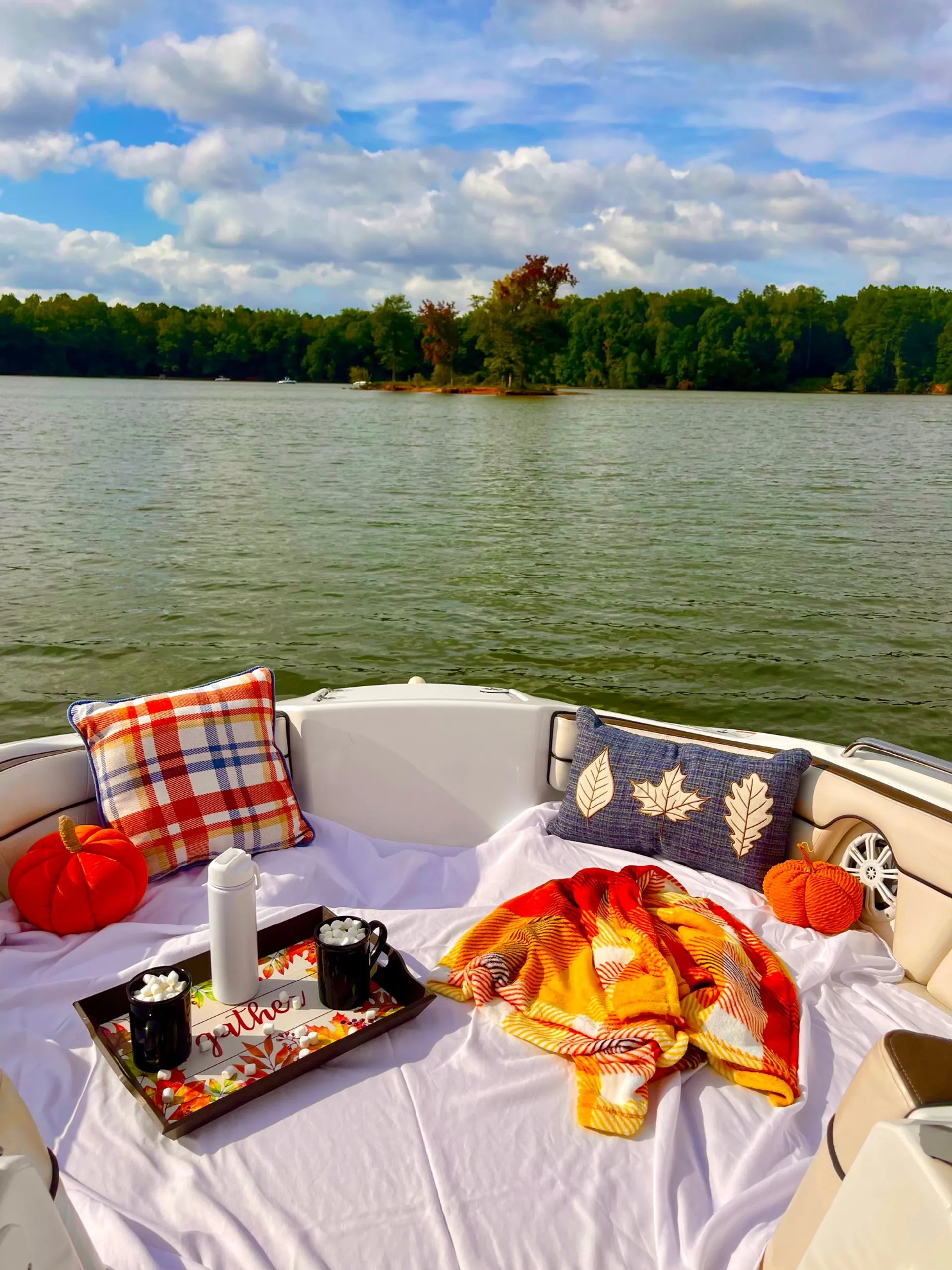 Yamaha on Lake Wylie *INCLUDES GAS*