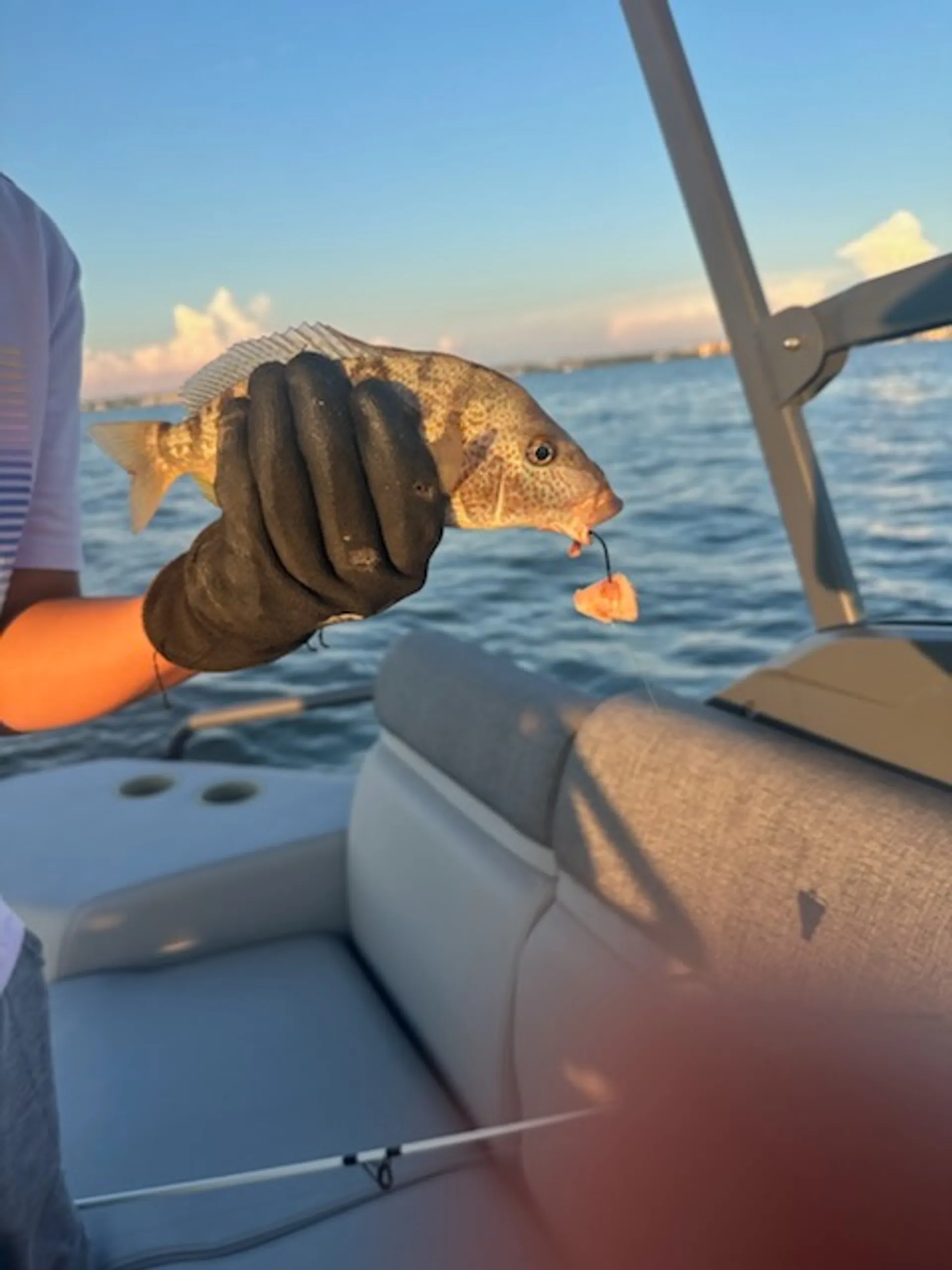 Dolphin Watching, Island Adventures or Fishing Trips on 18' SEA-DOO!