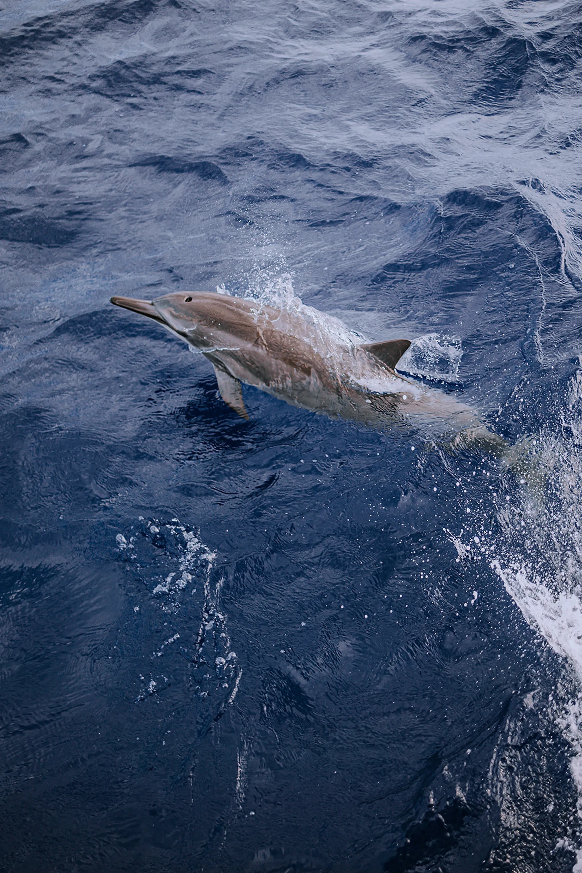 69ft Ferretti, Most Luxurious Yacht in Hawaii -Unparalleled Experience