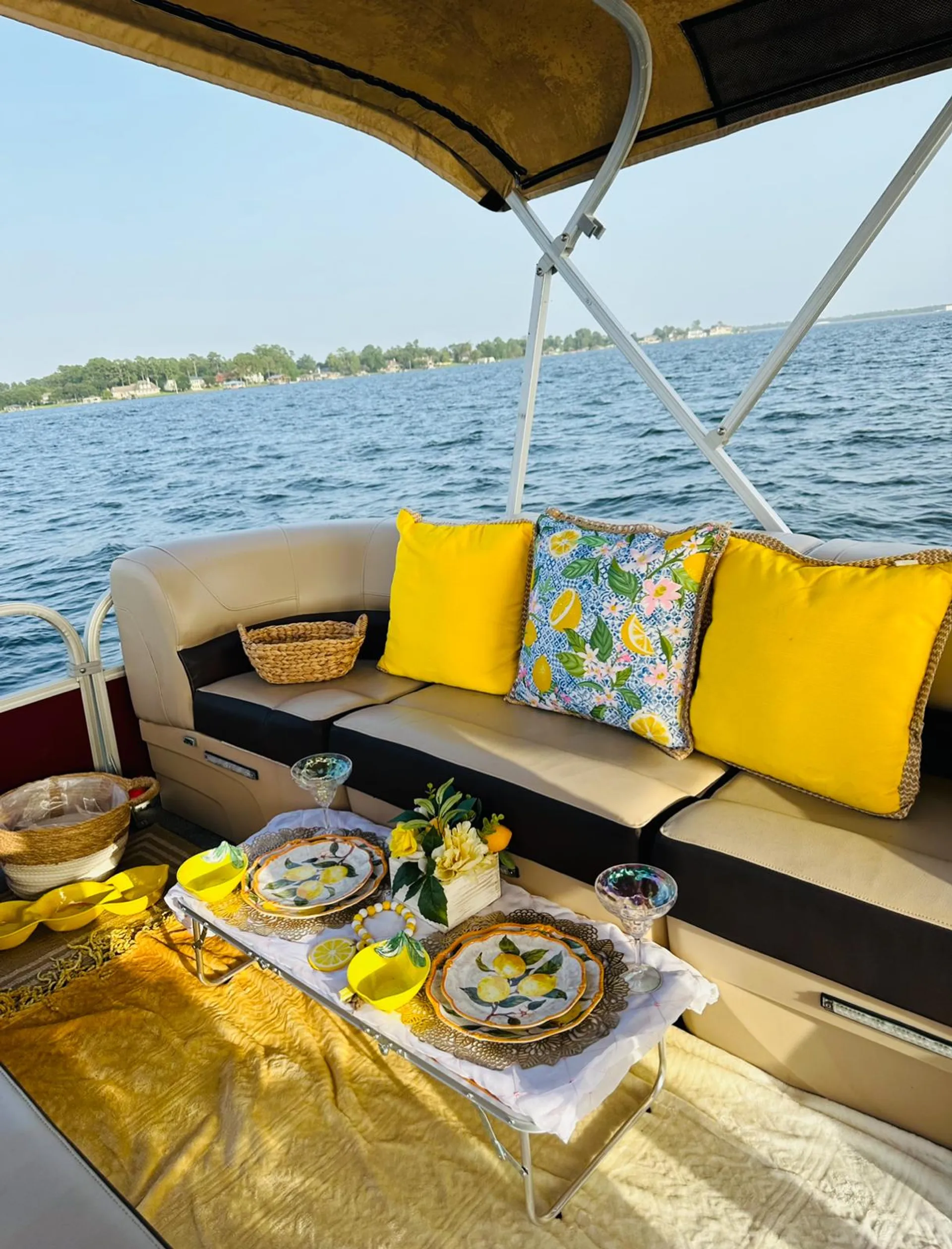 24ft Suntracker Party boat for rent/ Rental de bote FREE TUBE &amp; WATER 