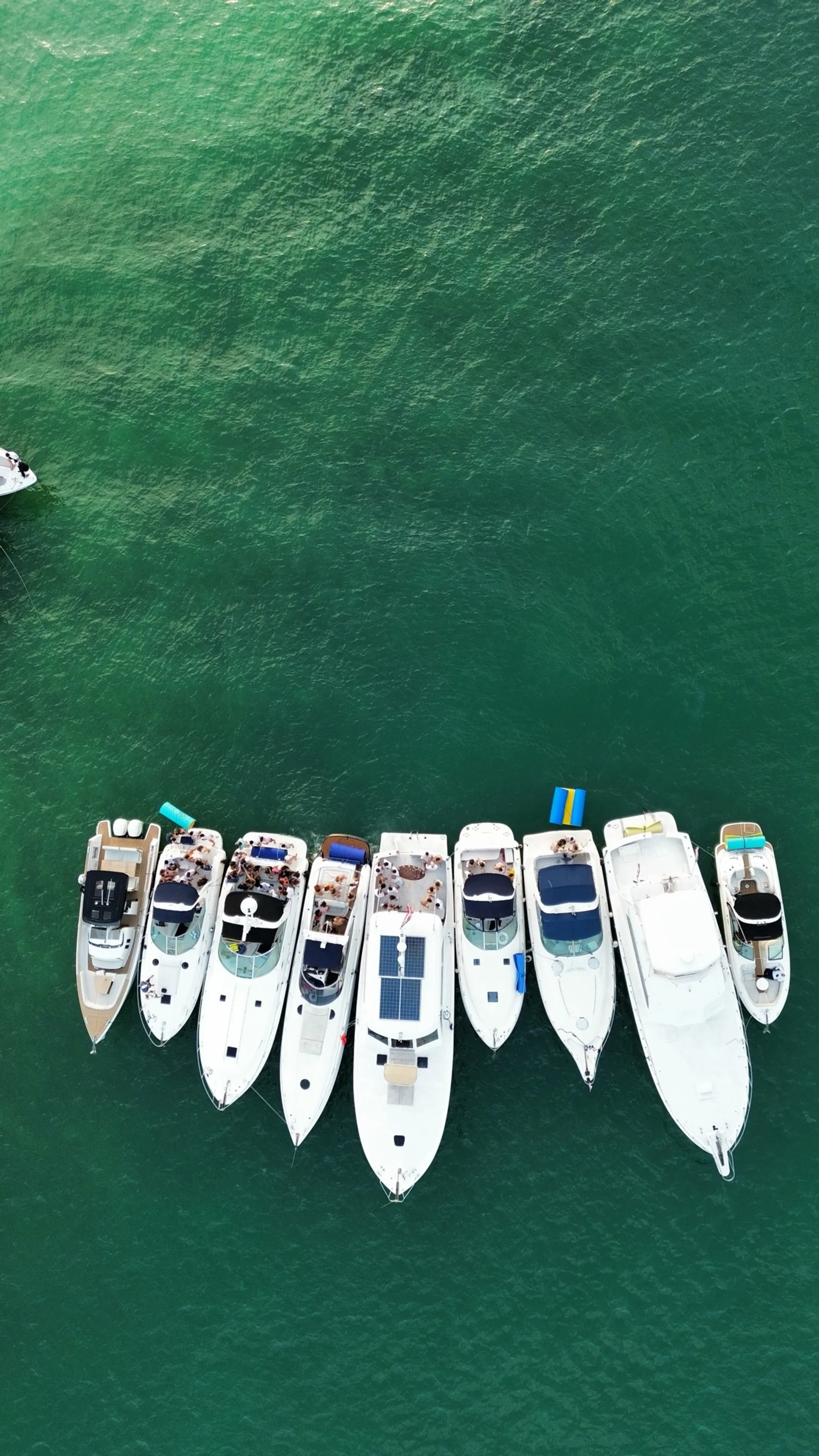 🚨Save Now: 1 Hr Free / $100 Off + 10% Small Groups -Sundancer 38’ 🚨